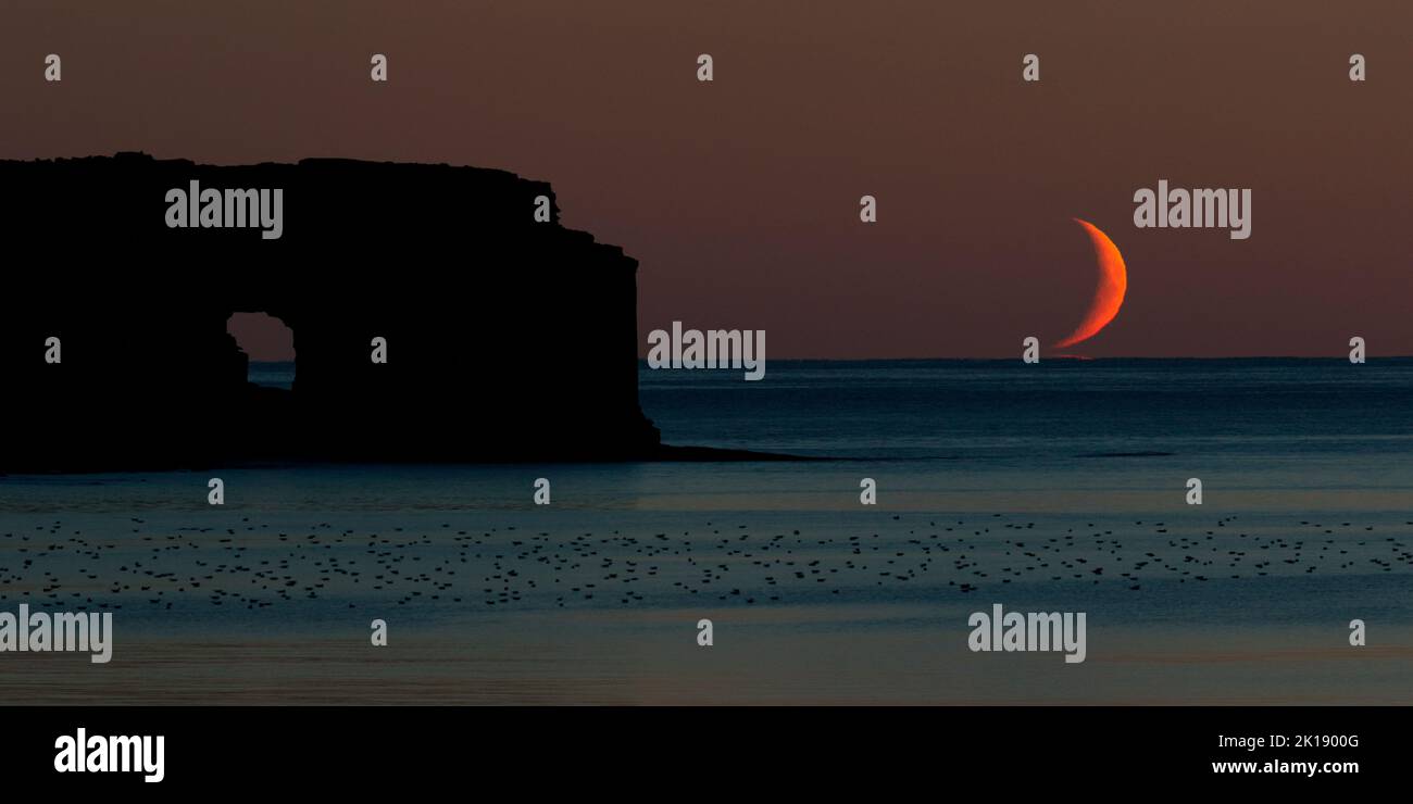 Crescent moon setting over Atlantic, Skaill Bay, Orkney Stock Photo