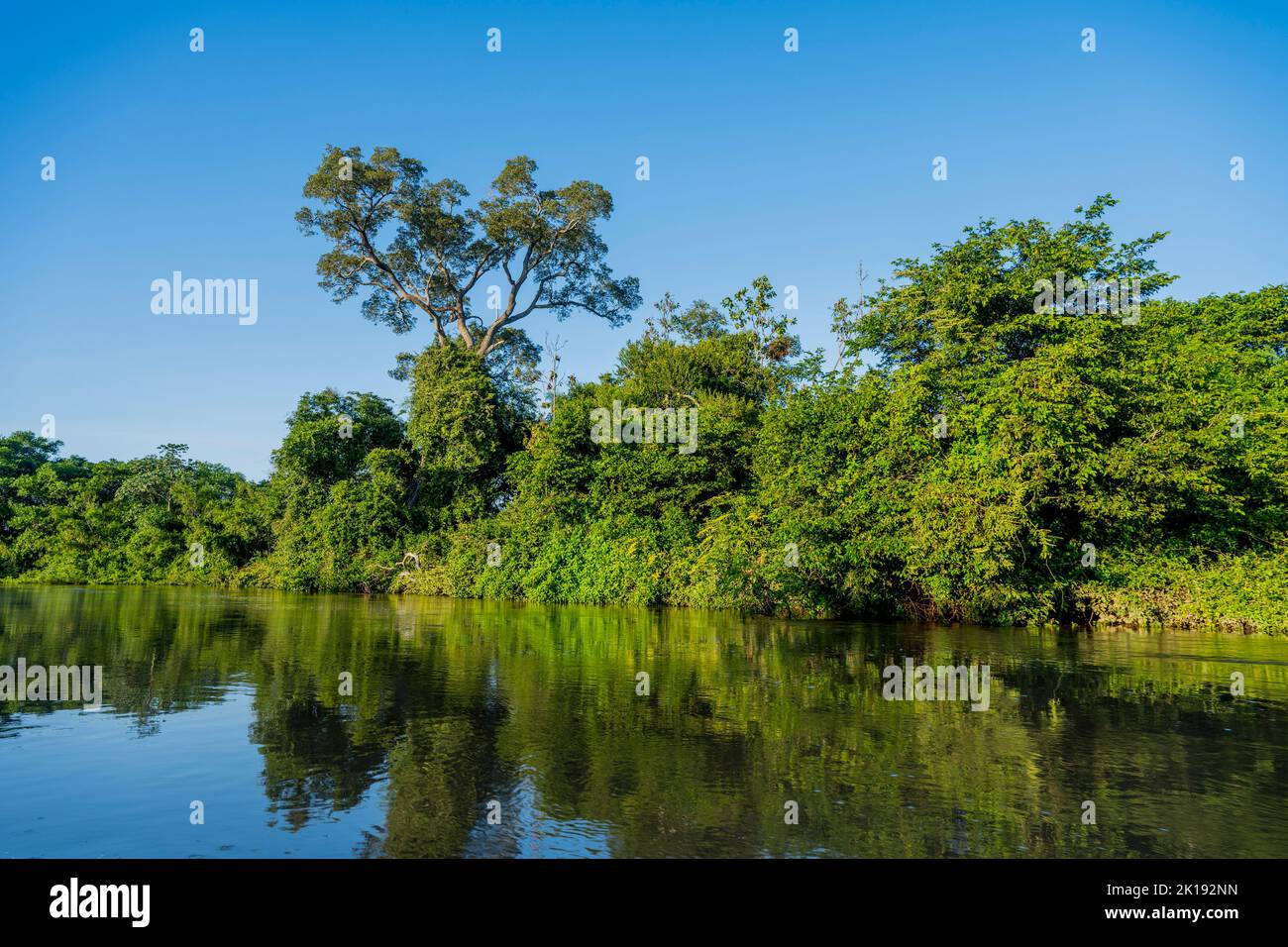 The Aquidauana River near the Aguape Lodge in the Southern Pantanal, Mato Grosso do Sul, Brazil. Stock Photo