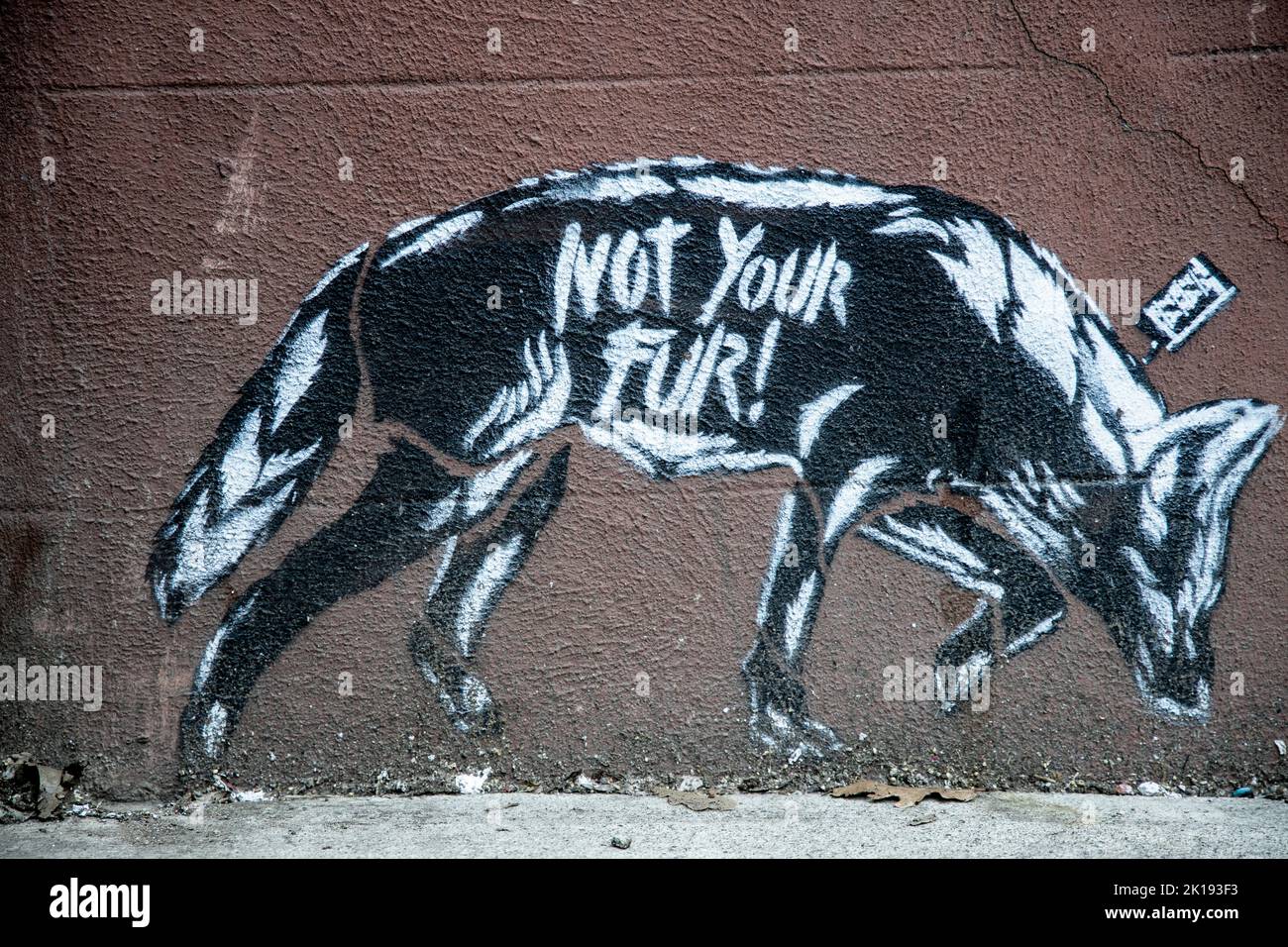 Animal rights graffiti hi-res stock photography and images - Alamy