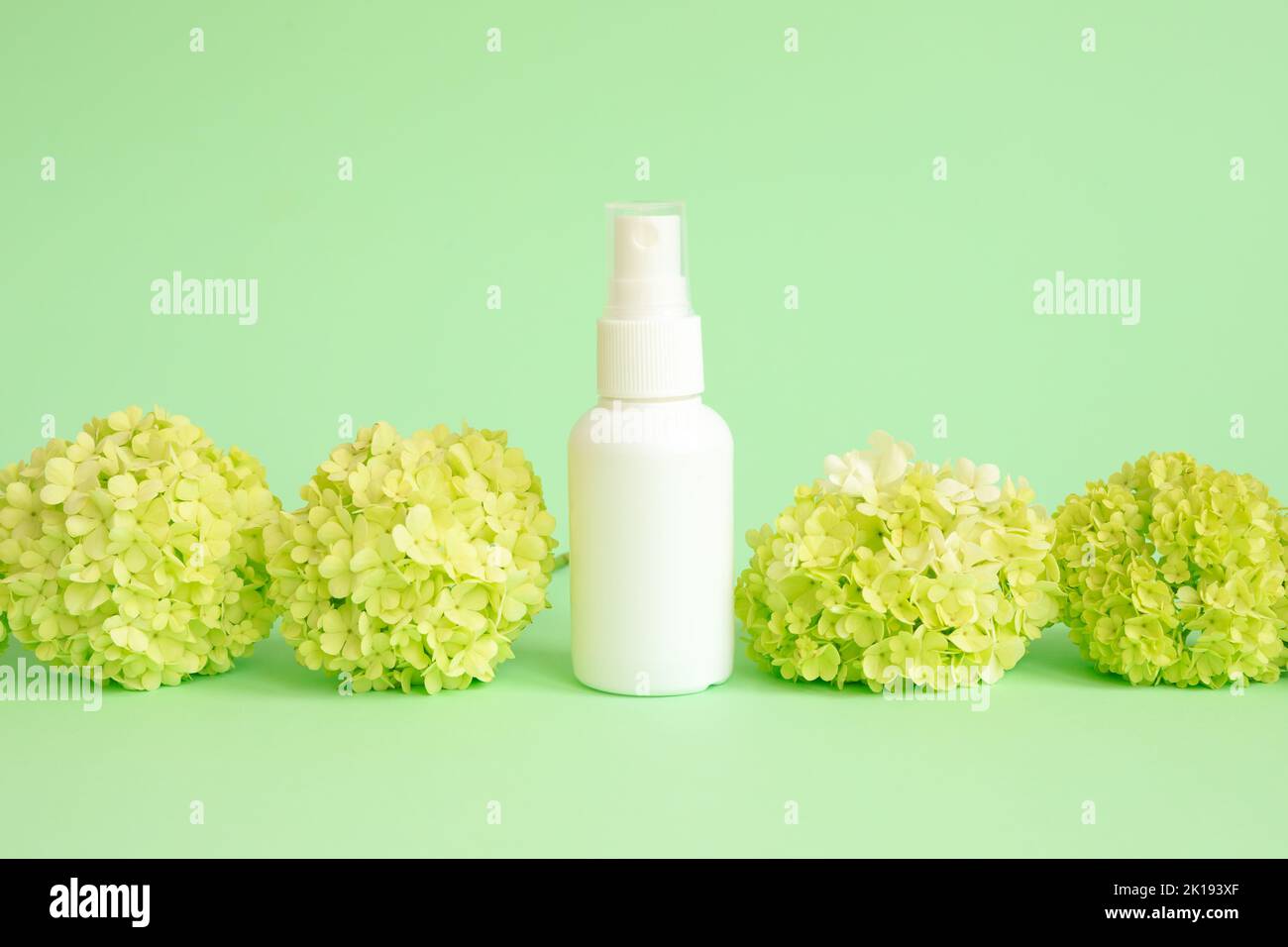 White cosmetic spray bottle and green viburnum flowers on green background. Front view, mockup, template. Natural organic spa cosmetics and liquid ant Stock Photo