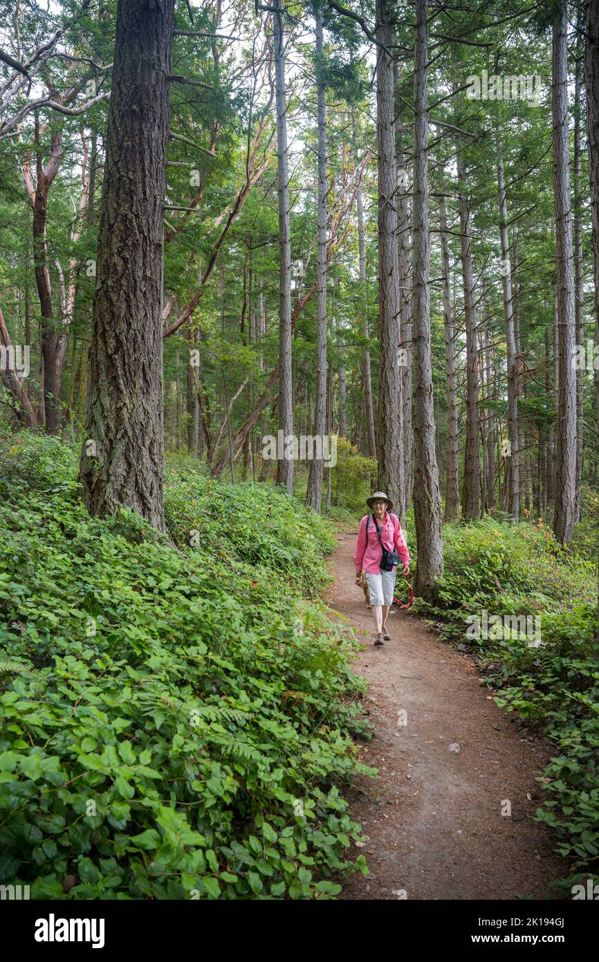 A woman (model released) is walking on the Loop Trail in the forest of Camano Island State Park on Camano Island, Island County, Washington State, USA Stock Photo