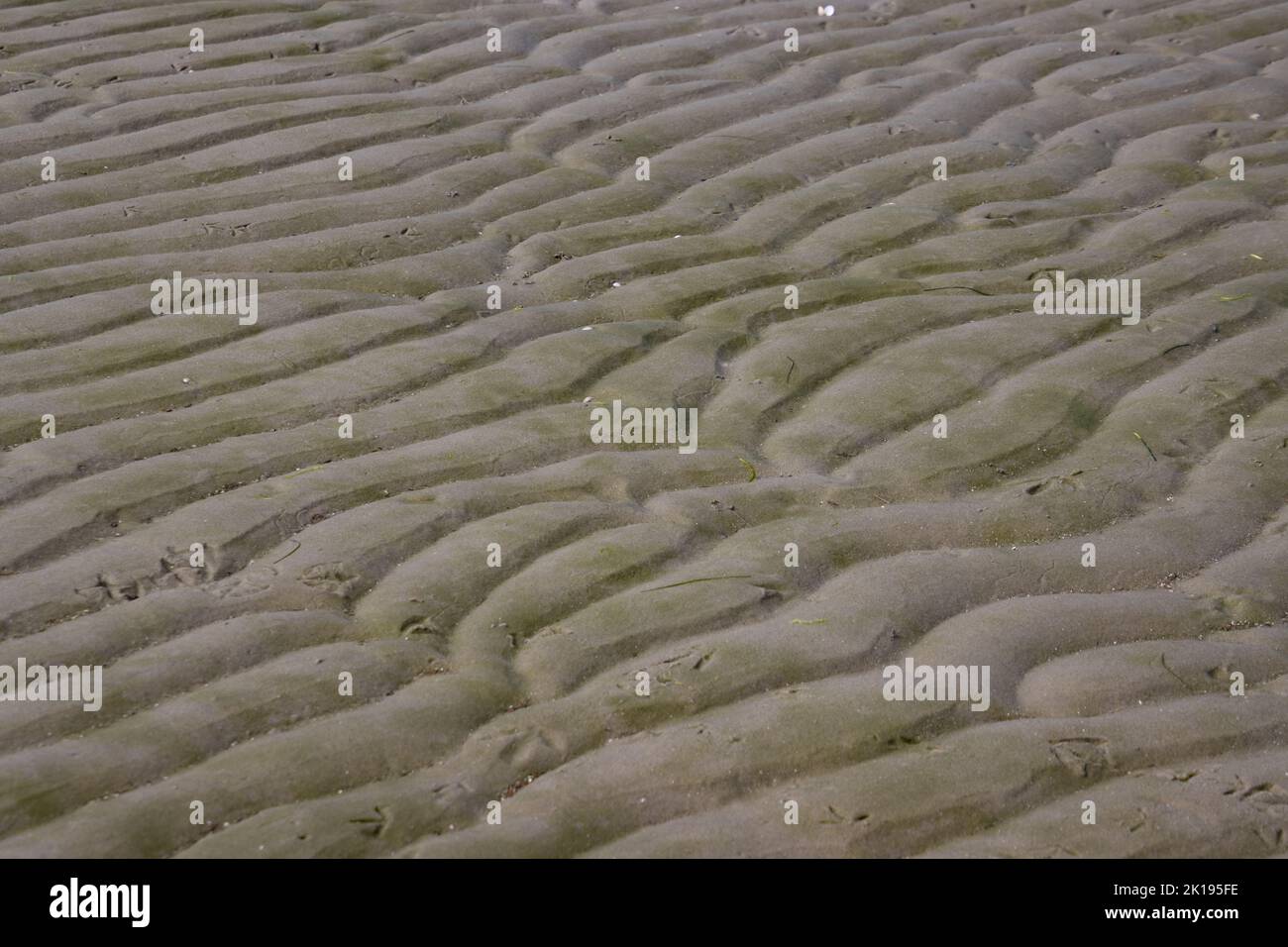 Wet abstract sand pattern for background Stock Photo