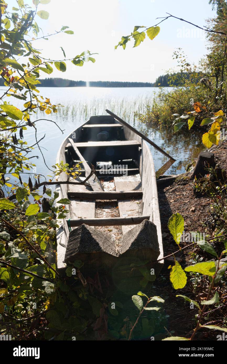 Lake boat of the old sample on the forest lake. The boat is made by Veps in the north-east of Russia. Even 30 years ago, such boats were hollowed out Stock Photo