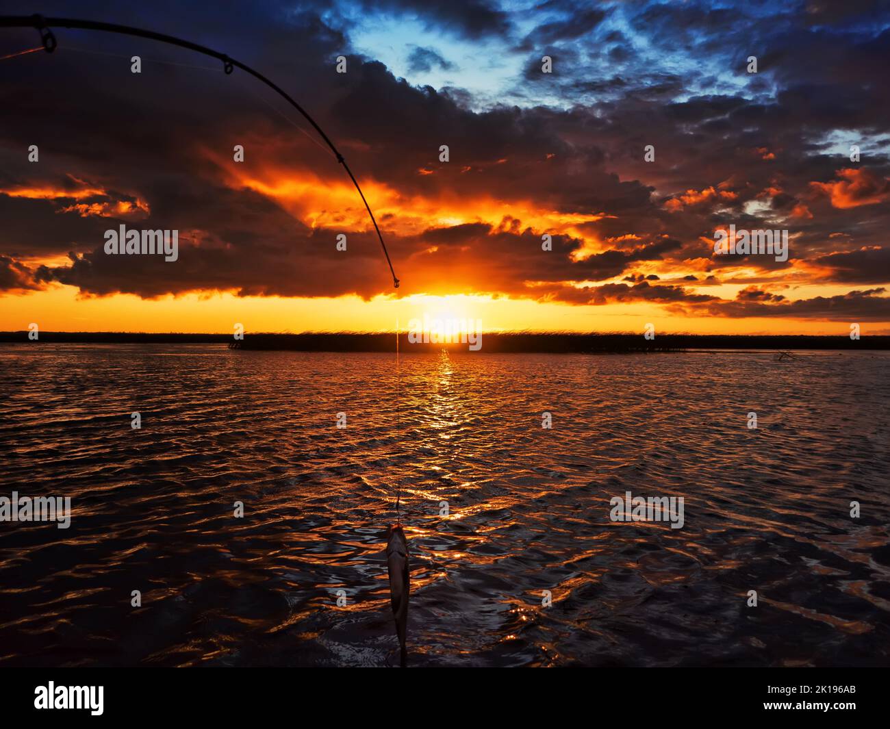 Fishing at sunset. Catching predatory fish on spinning. Sunset colors on the water surface, sunny path from the low sun. Nerfling caught on a spinner Stock Photo