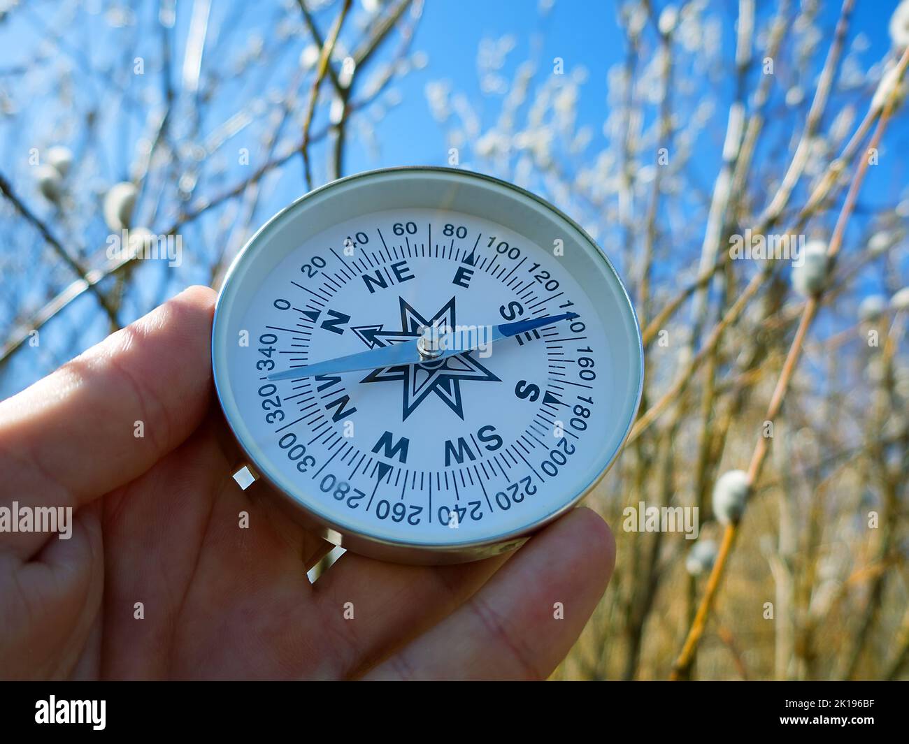 Winter-spring hiking (spring independent travel in forest and river, willow catkins), camping equipment - follow the compass (shoot an azimuth), trail Stock Photo