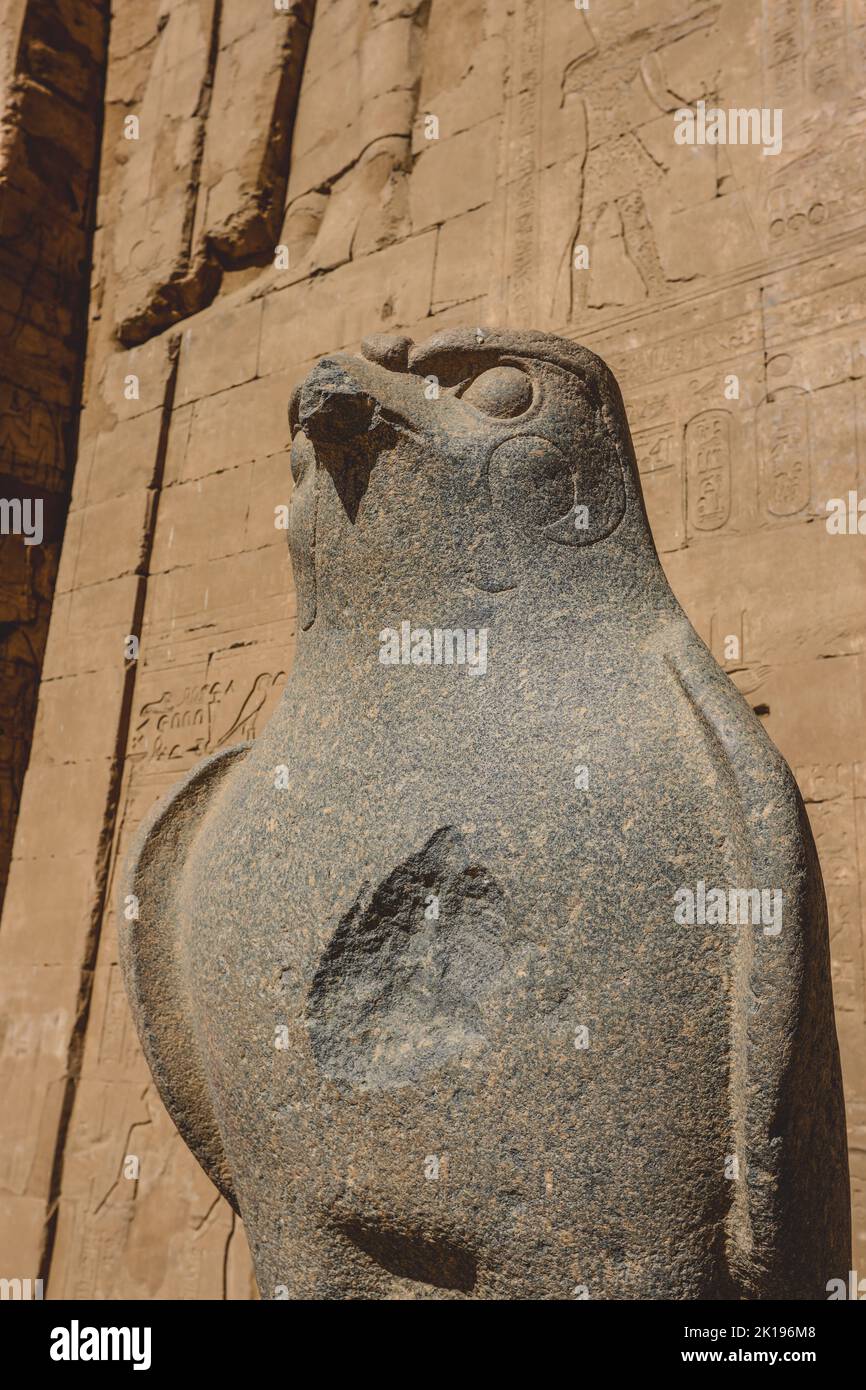 An Ancient Egyptian God Horus Statue as the View of Falcon Bird in the