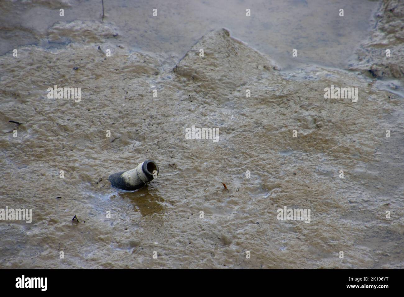 Beer bottle in the mud during low tide, concept of environmental pollution Stock Photo