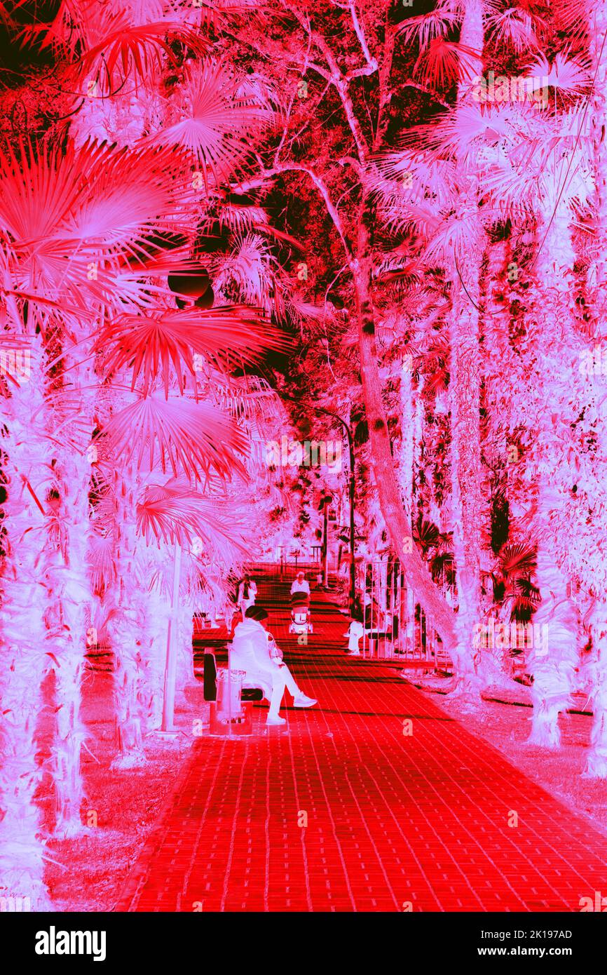 Summer day in the park. Vacationers on the alley of the garden of eden. Thermal Impressionism. . Blurred unrecognizable people Stock Photo