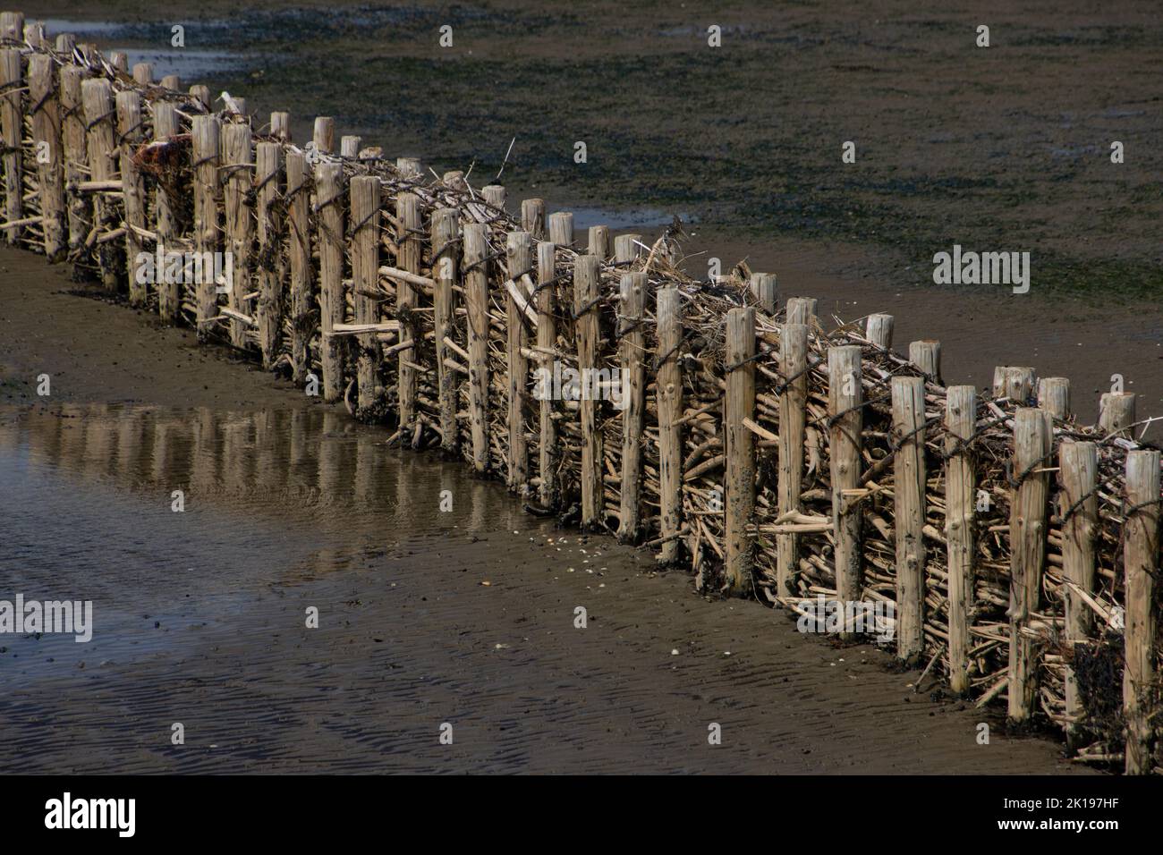 Wood barrier for land reclamation in the wadden sea, north sea Germany ...
