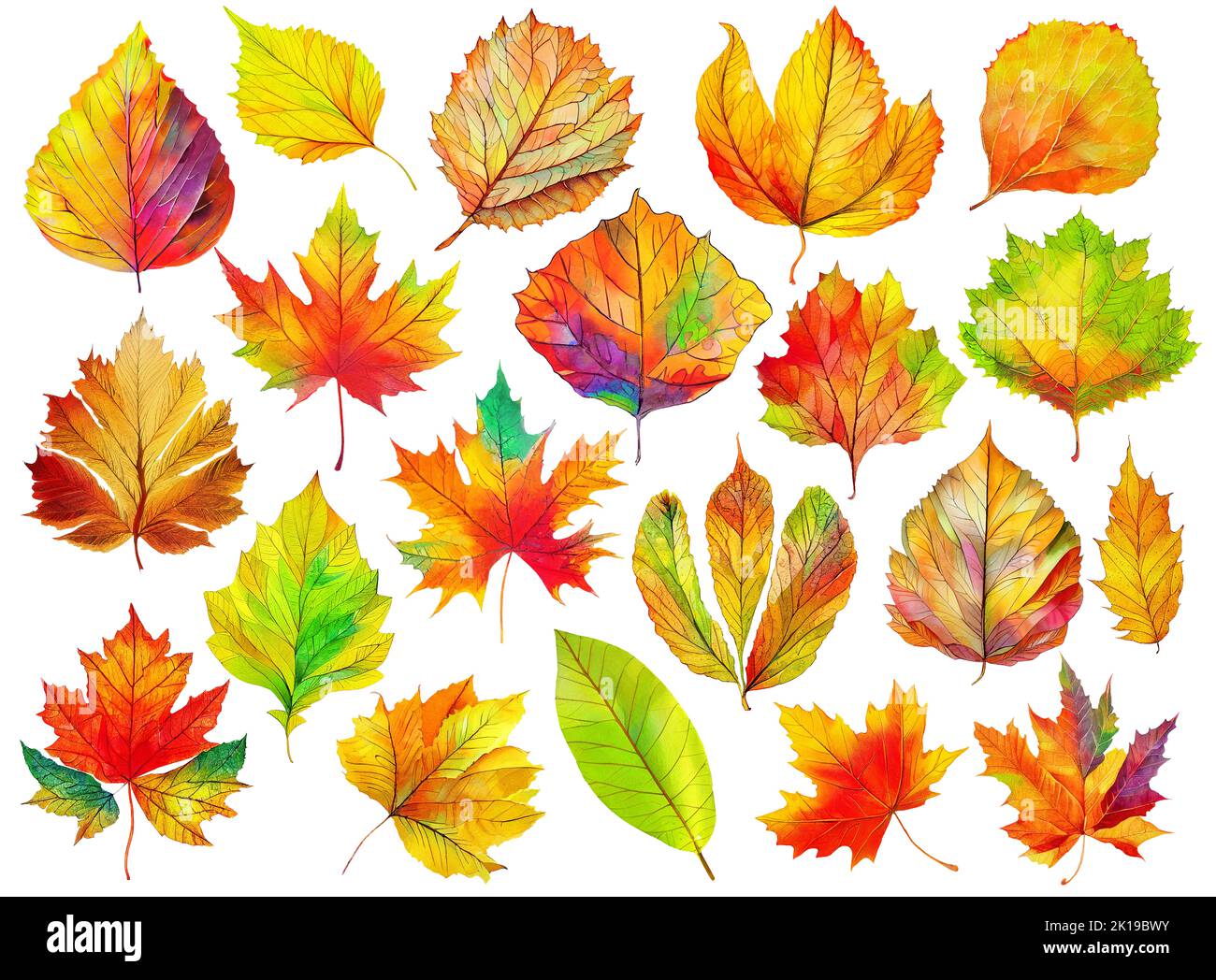 Collection of decorative colorful autumn tree leaves isolated on white background. Digital illustration based on render by neural network Stock Photo