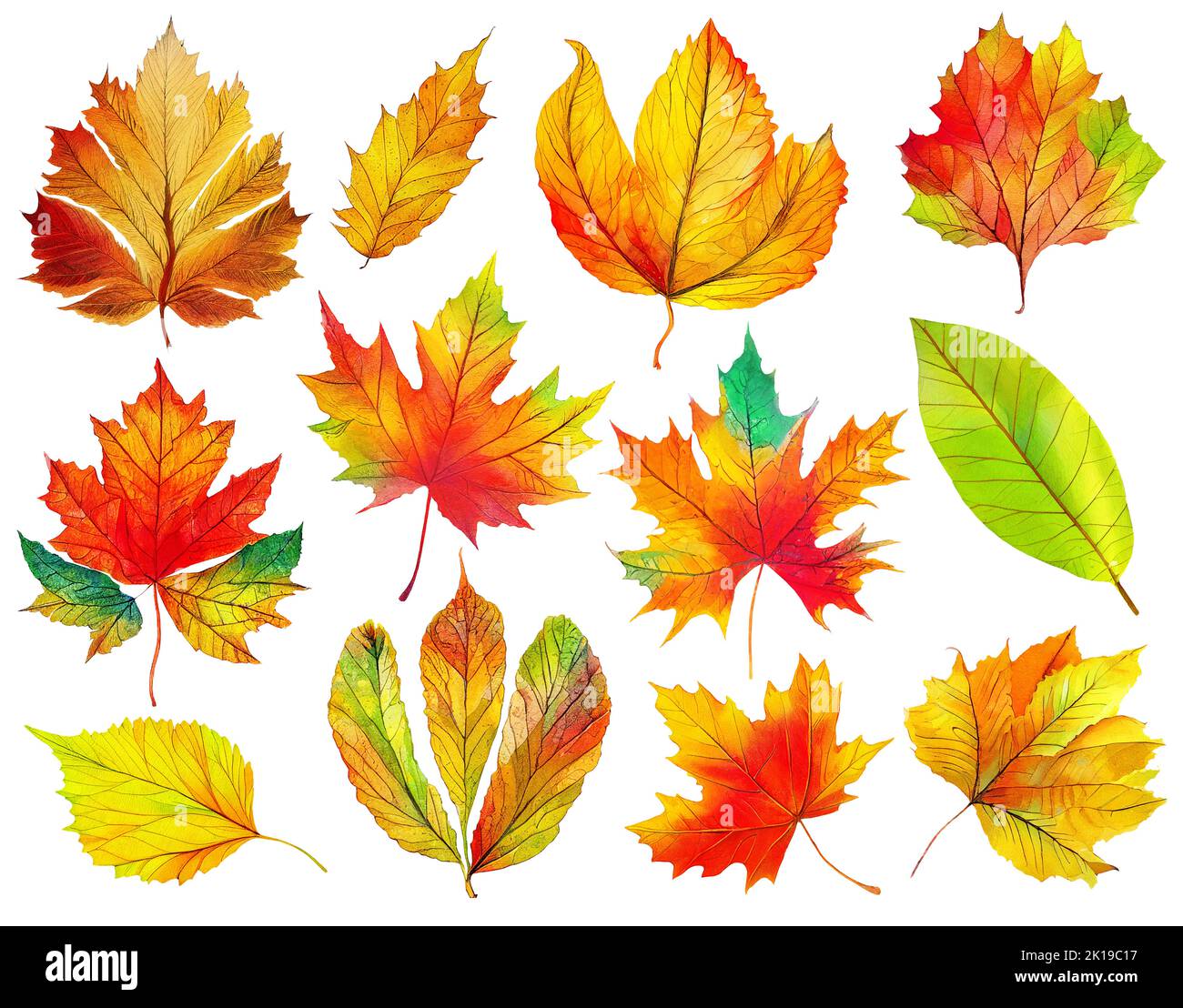Twelve colorful autumn tree leaves isolated on white background. Digital illustration based on render by neural network Stock Photo