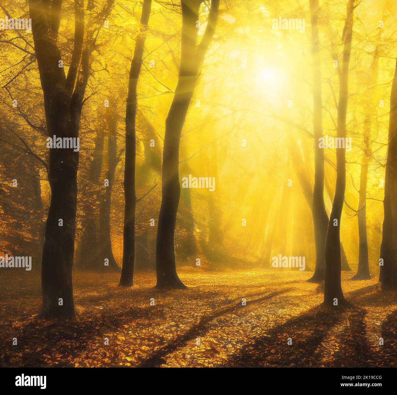 Enchanted autumn forest with bright golden sunshine through the trees and golden fog, square format. Digital illustration based on render by neural ne Stock Photo