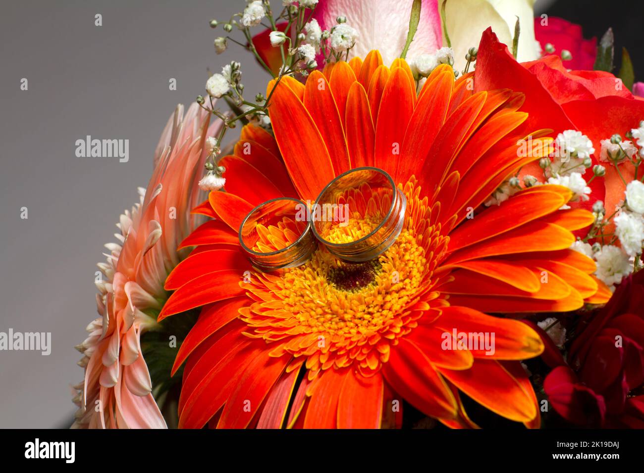 Wedding  rings and red rose Stock Photo