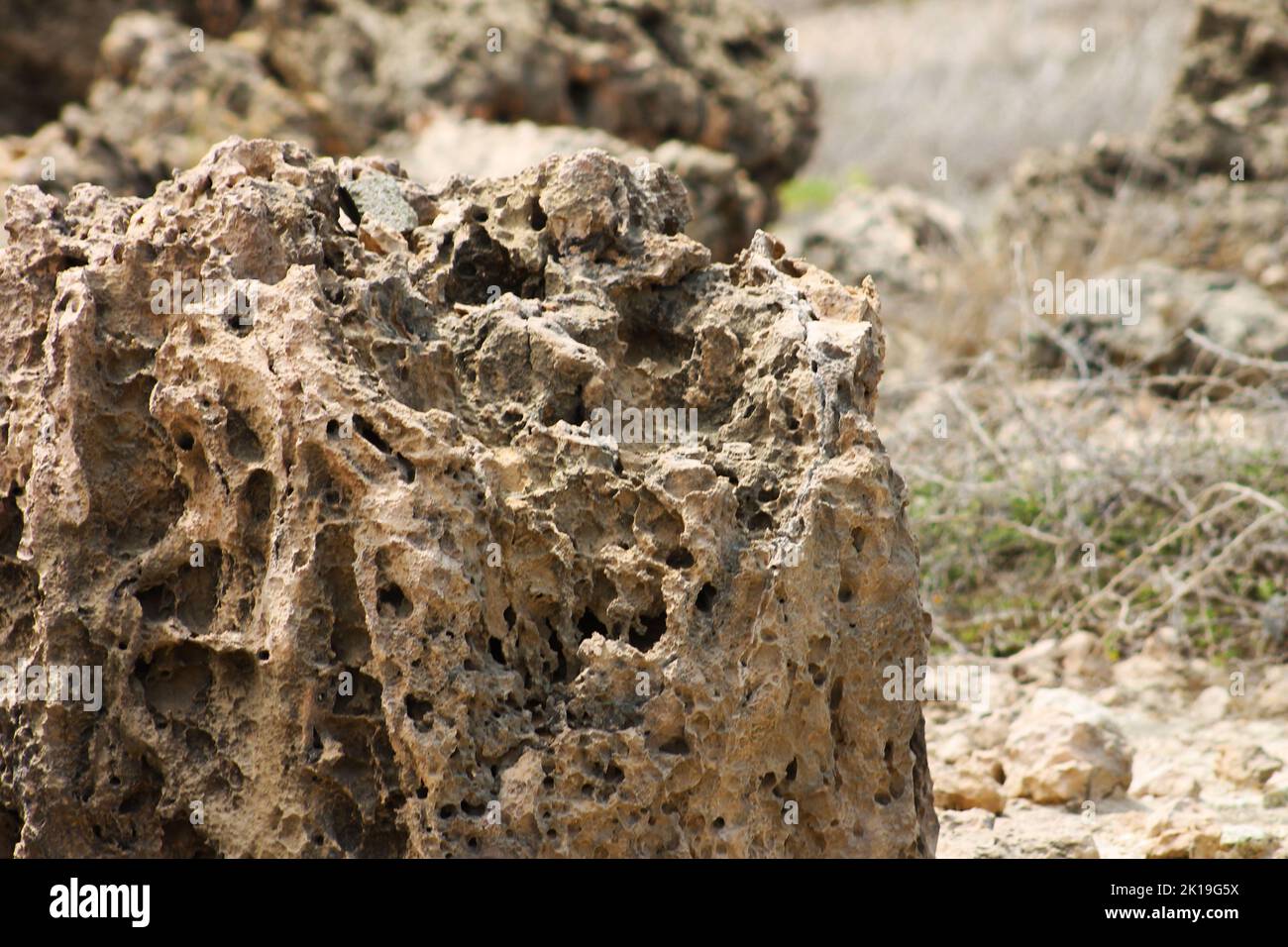 Porous volcanic rock formations in the desert of Aruba Stock Photo - Alamy