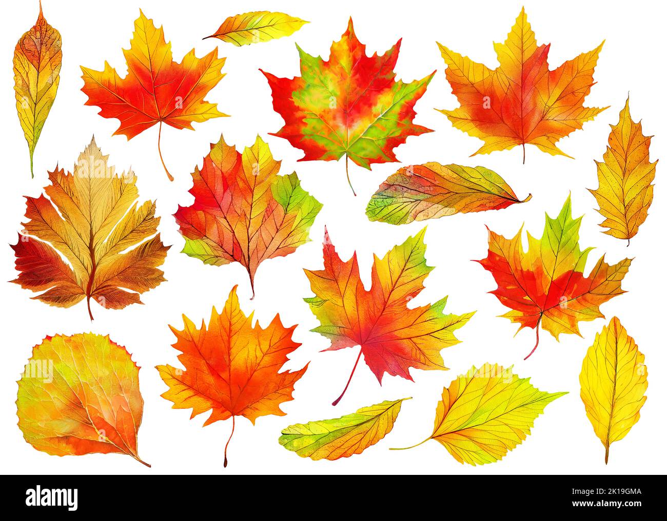 16 multicolored autumn leaves of trees and shrubs isolated on white background. Digital illustration based on render by neural network Stock Photo