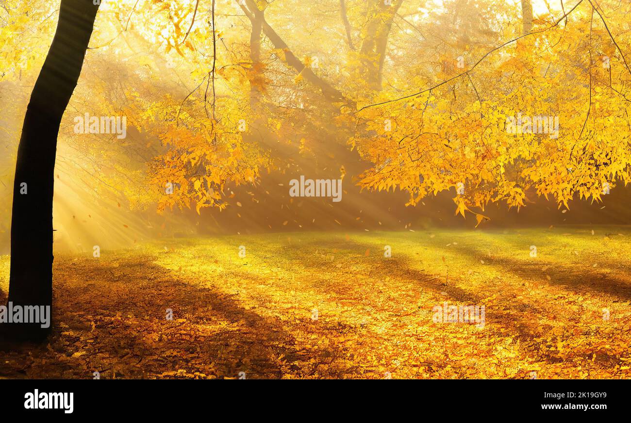 Sun light shining through yellow autumn foliage, bright sunny day in a park. Digital illustration based on render by neural network Stock Photo