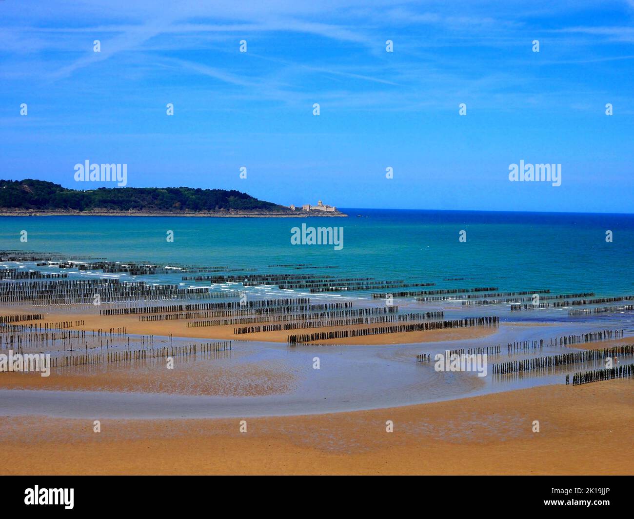 Mussel farm on beach Stock Photo Alamy