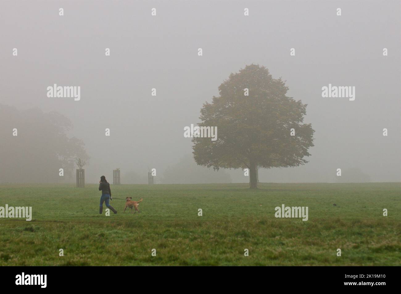 London fog near me