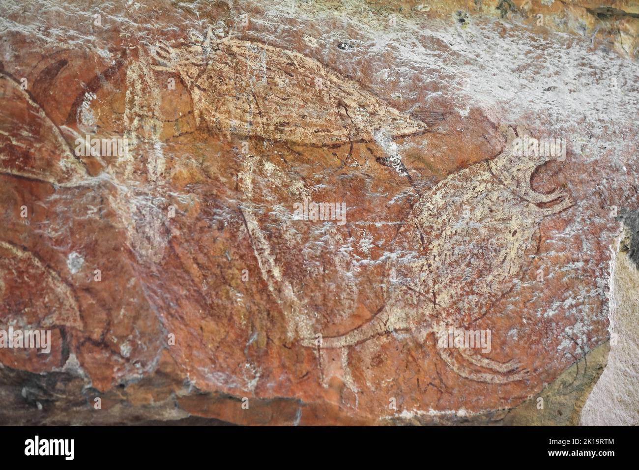 179 Aboriginal rock art. Fish and wallaby in the Main Gallery. Ubirr-Kakadu NP-Australia. Stock Photo