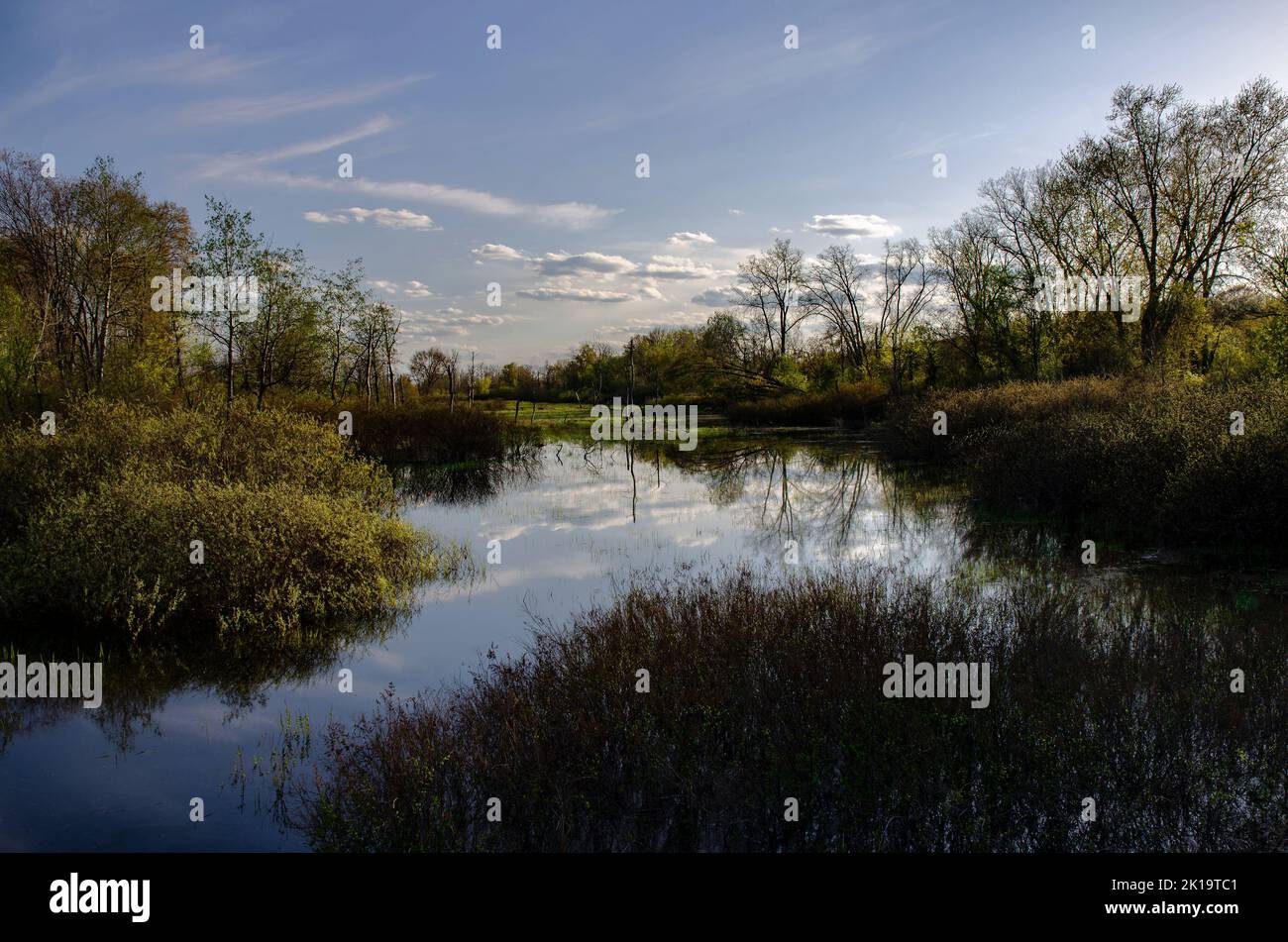 The Portage River is in the Grand River watershed and flows along the ...