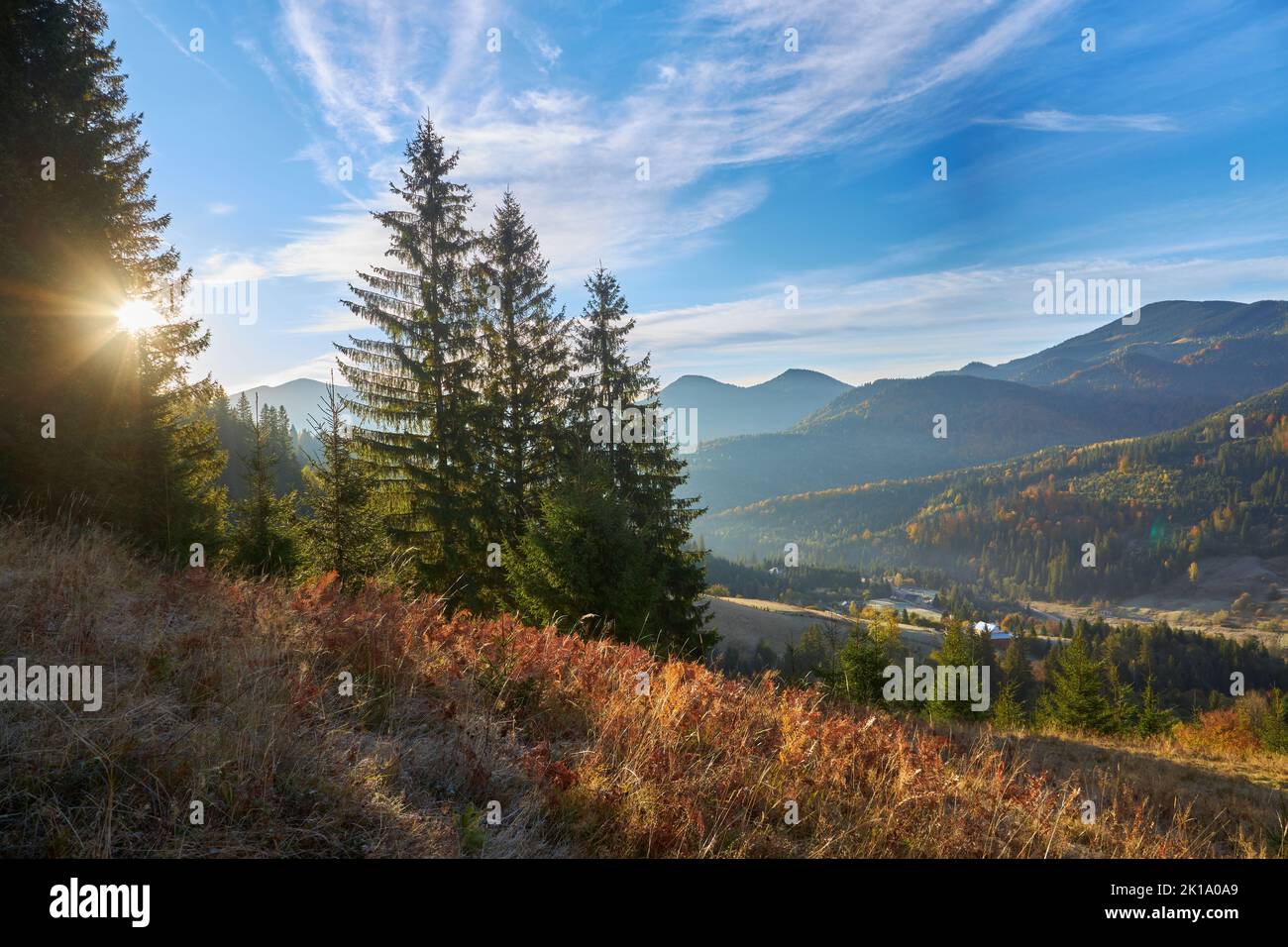 the mountain autumn landscape with colorful forest Stock Photo - Alamy