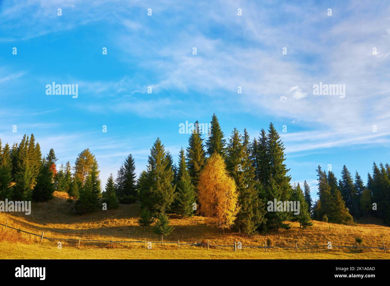 the mountain autumn landscape with colorful forest Stock Photo - Alamy