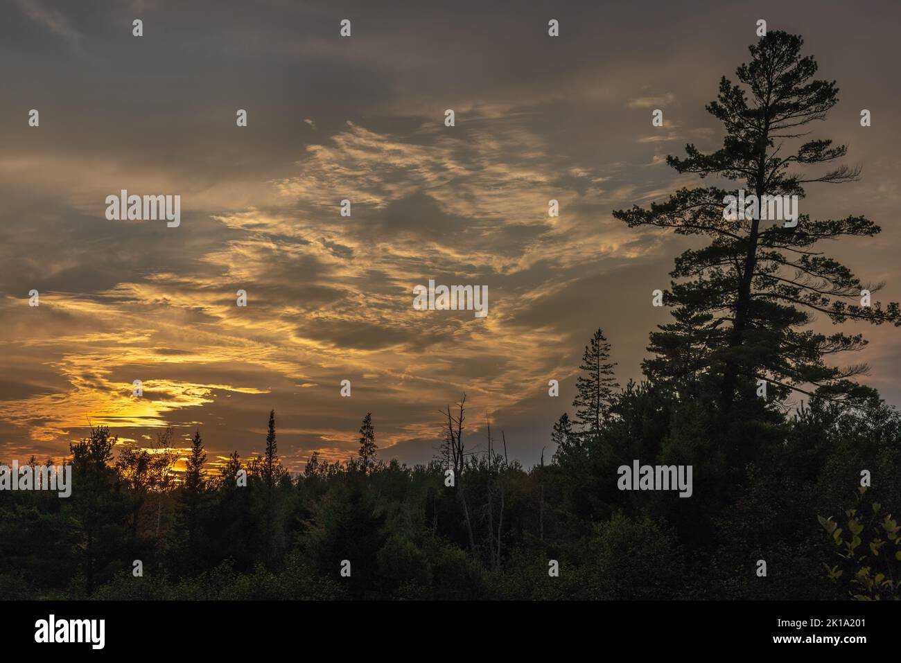 The last rays of daylight over the Chequamegon National Forest in Clam Lake, Wisconsin. Stock Photo