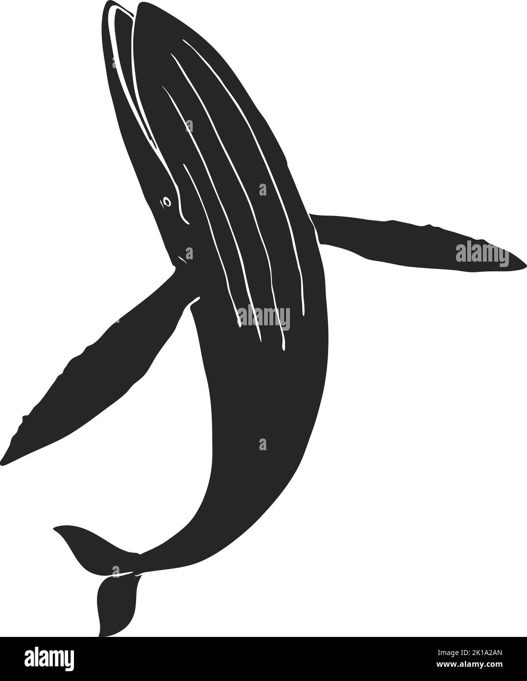 Hand drawn blue whale vector illustration Stock Vector Image & Art - Alamy