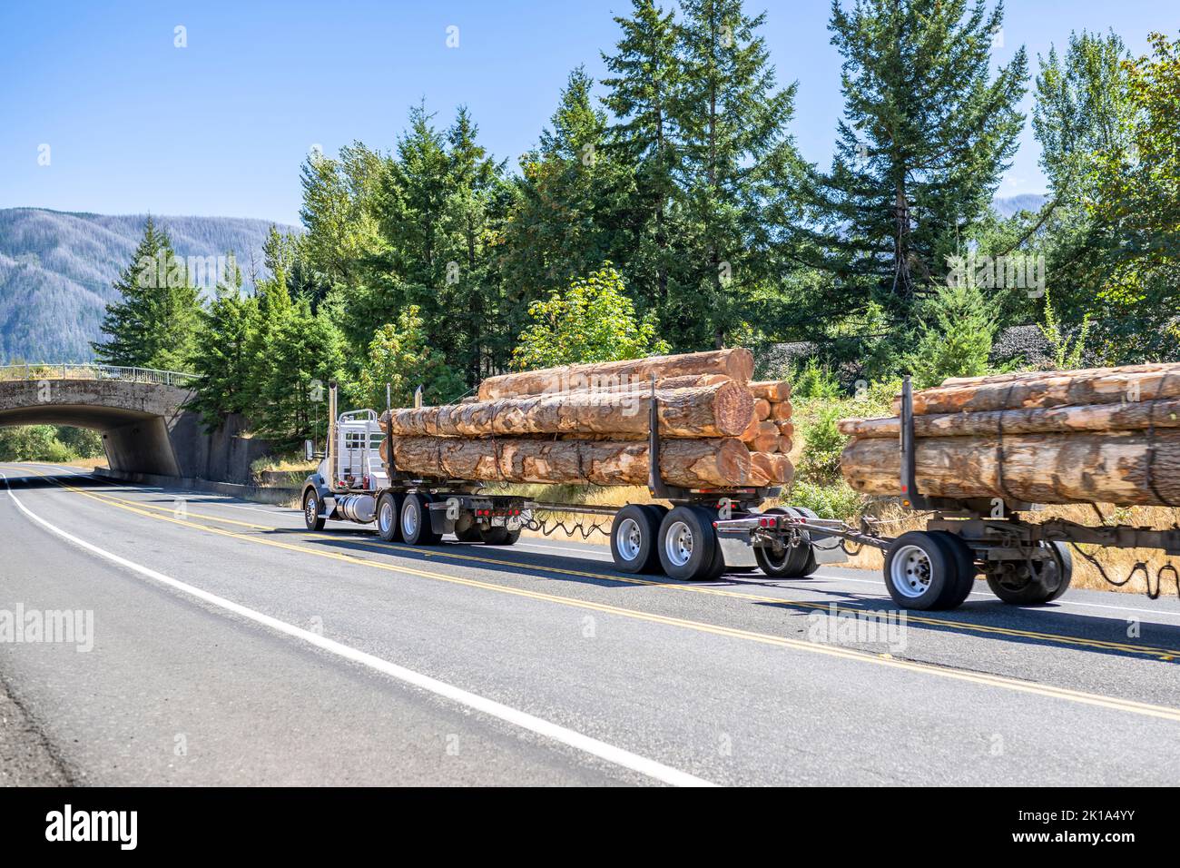 Classic Logging day cab big rig semi truck tractor transporting wood ...