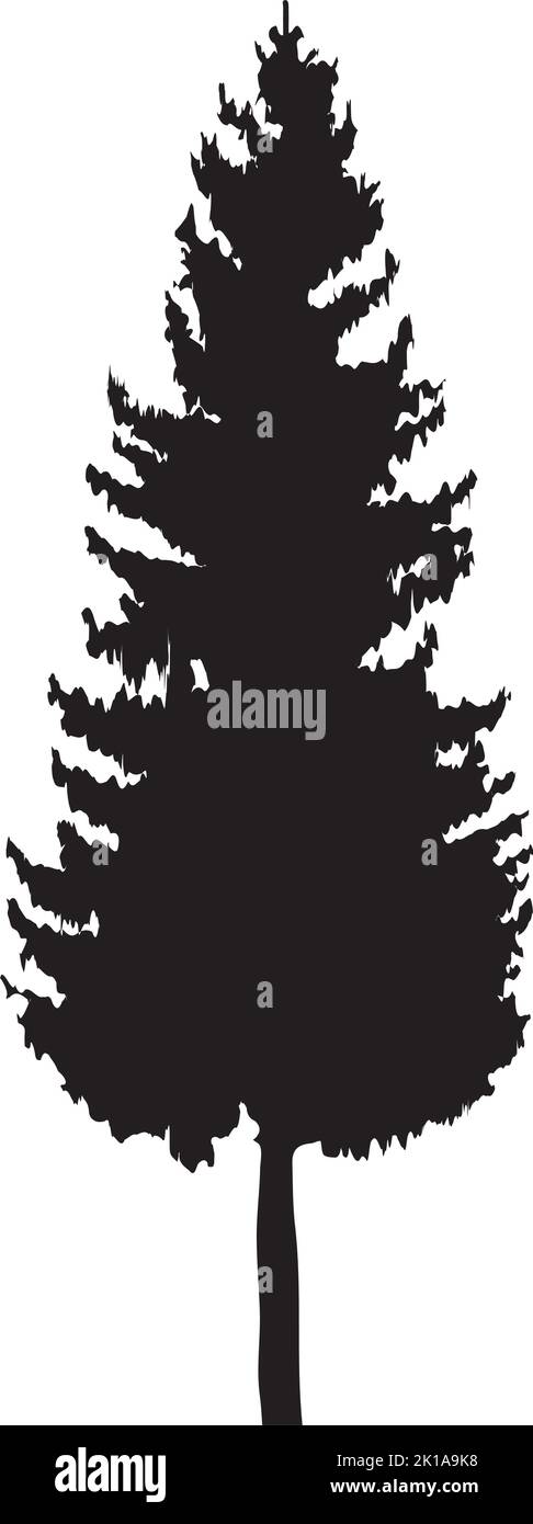 pine tree plant silhouette icon Stock Vector Image & Art - Alamy