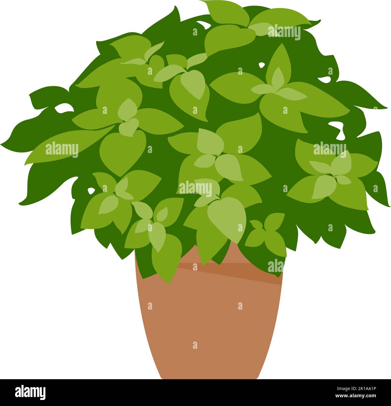 Home plant. Potted plant isolated on white. Flat. Vector illustration ...