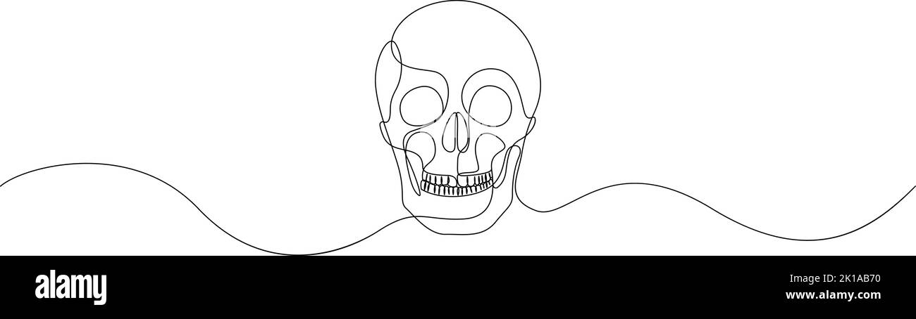 Continuous thin line human skull, minimalist cranium sketch doodle. One line art scull icon or logo. Vector illustration Stock Vector