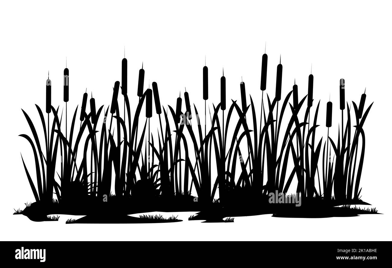 River bank with reeds. Swamp landscape. View of the river bank. Silhouette picture. Isolated on white background. Vector. Stock Vector