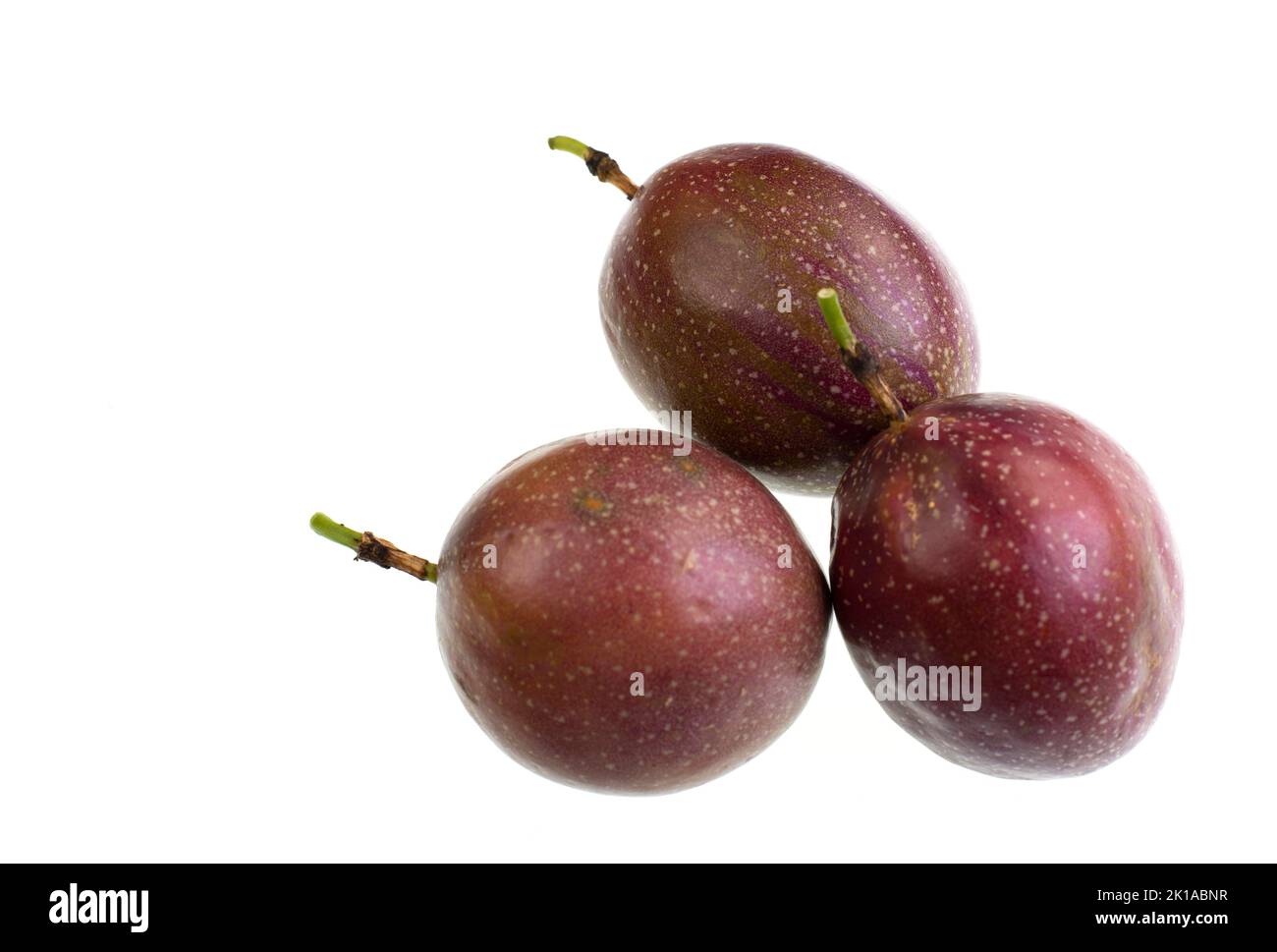Purple passion fruit is the edible fruit of a plant in the genus Passiflora Stock Photo