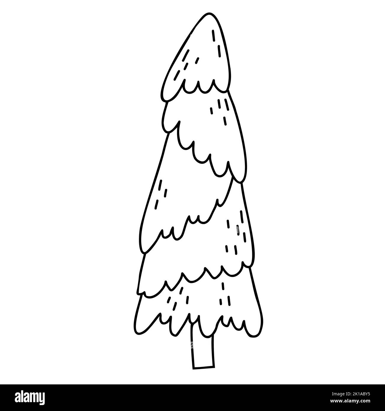 Beautiful forest tree. Christmas tree. Vector hand drawing in doodle