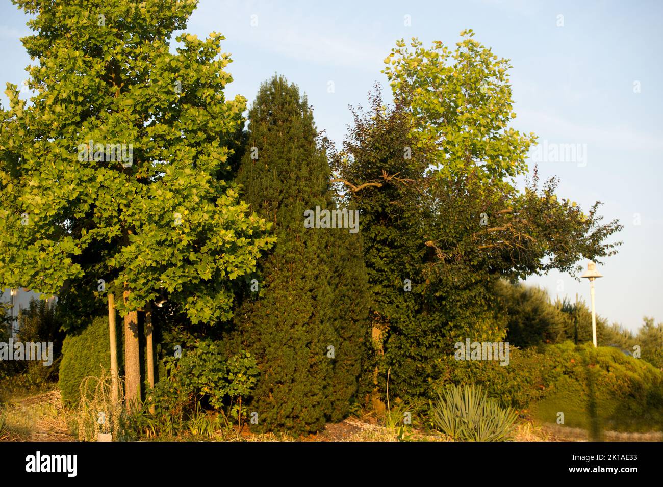 Garten im schönsten Grün Stock Photo