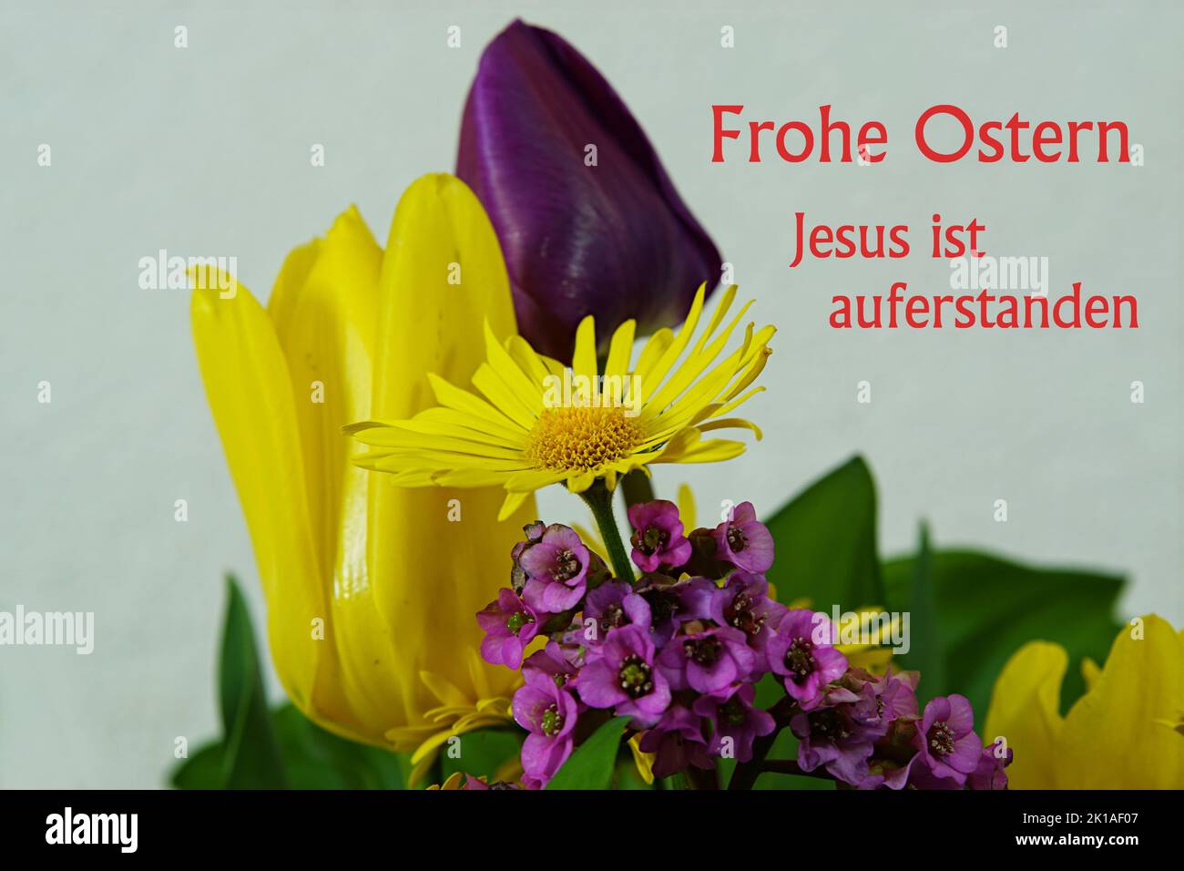 Frühlingsblüten - Frohe Ostern - Jesus ist auferstanden Stock Photo