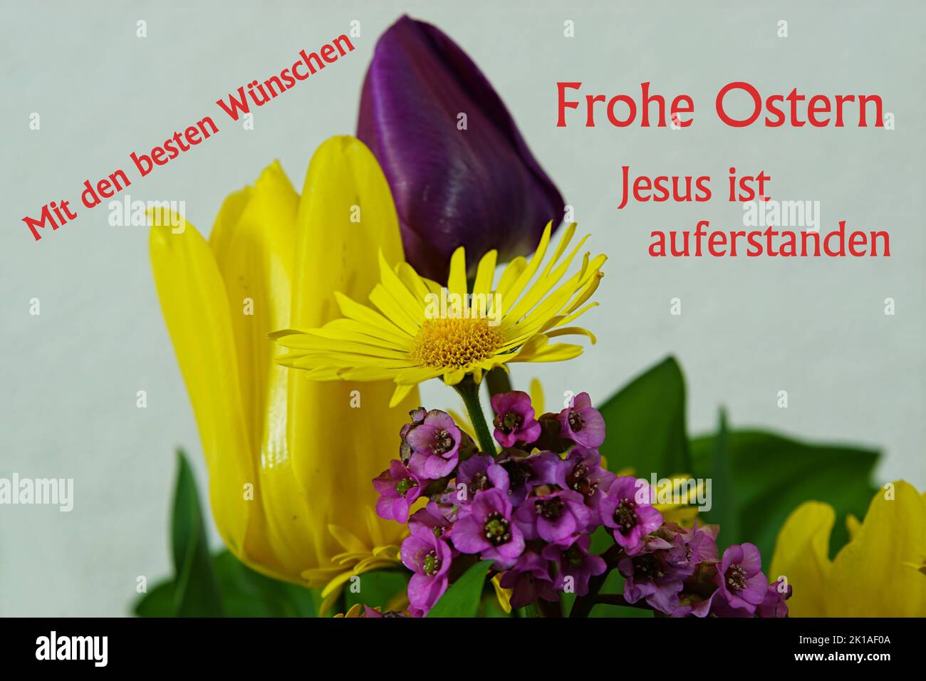 Mit den besten Wünschen - Frühlingsblüten - Frohe Ostern - Jesus ist auferstanden Stock Photo