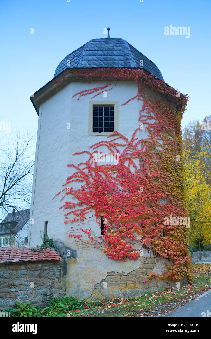 Kloster Schöntal - Wehrturm mit herblichen wilden Wein Stock Photo
