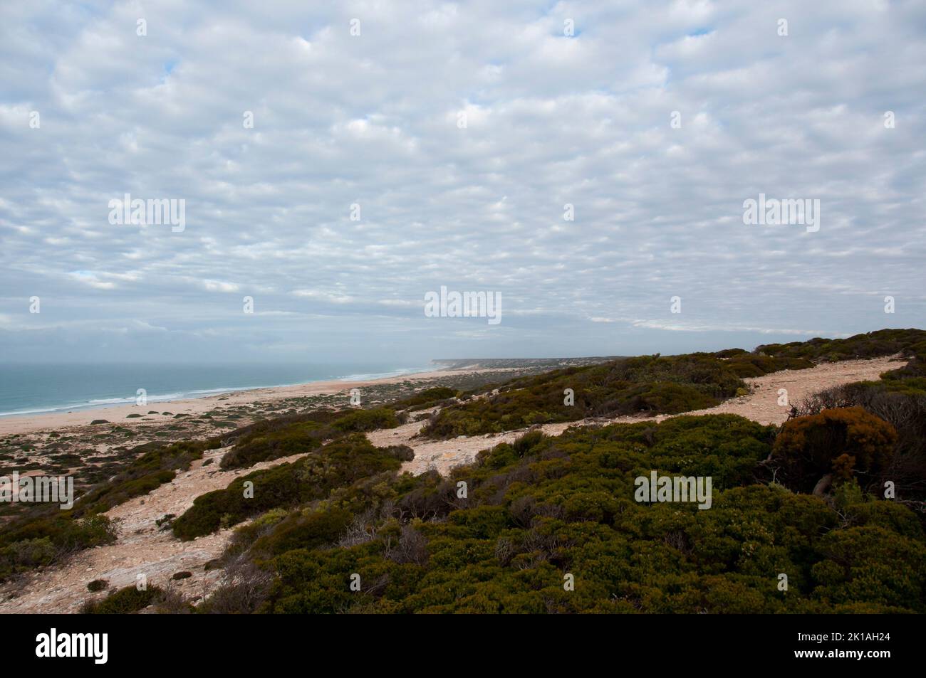 Great Australian Bight Marine Park Stock Photo