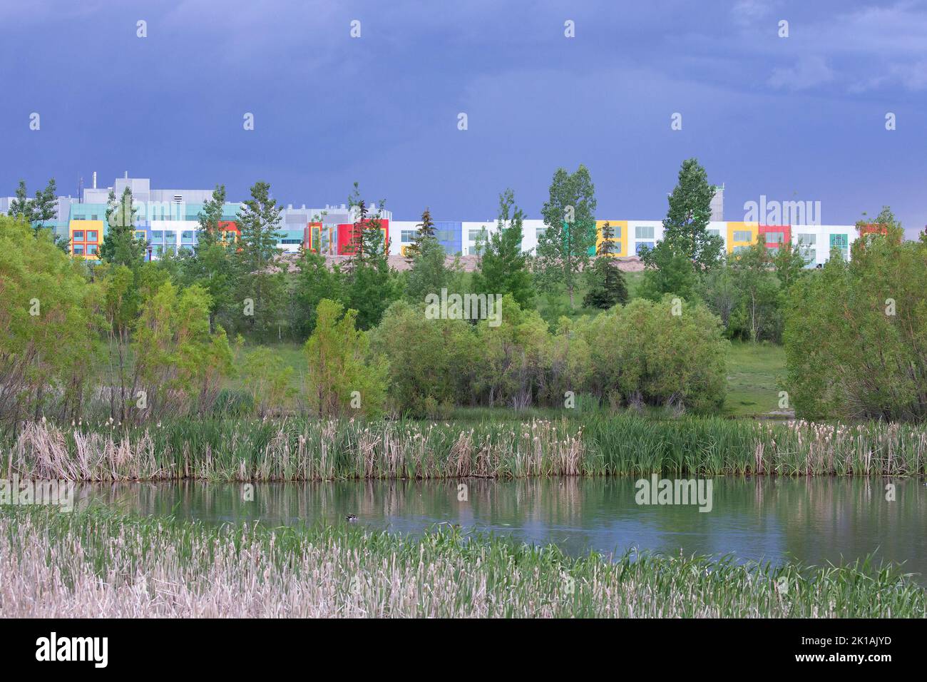 City pond built to capture stormwater, improve water quality and prevent flooding also provides urban park. Alberta Children's Hospital in back. Stock Photo