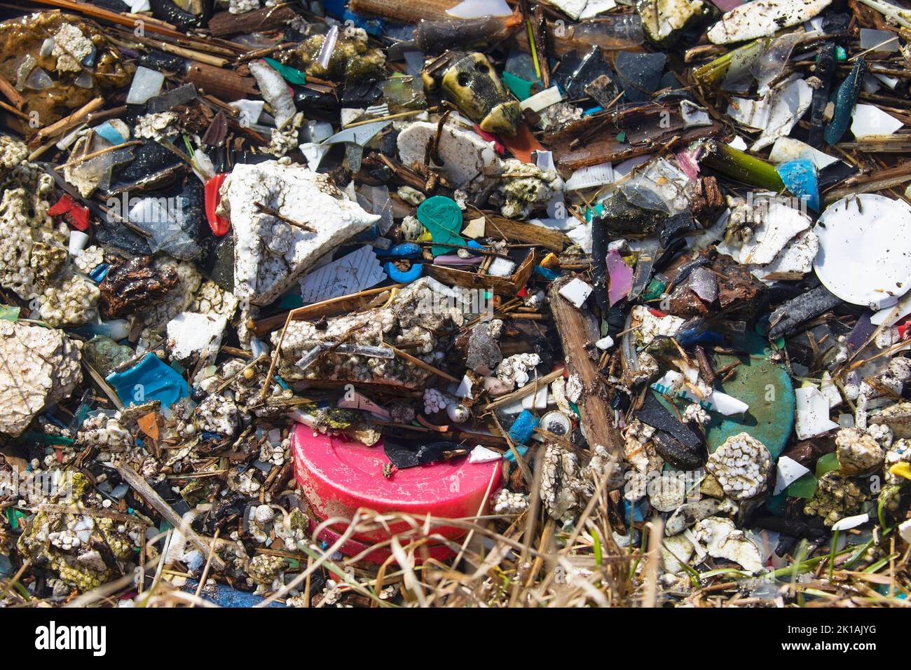 Plastic waste and other trash dumped and carried through a city drainage system where it washed up on the shore of a stormwater treatment pond Stock Photo