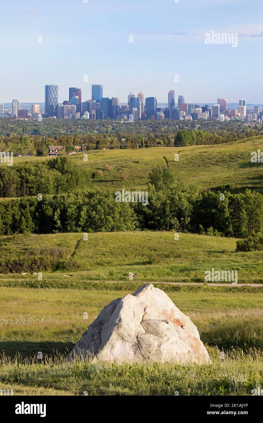 Glacial erratic rock from the Pleistocene Ice Age Foothills Erratics Train deposited in Nose Hill Park with Calgary city skyline in background Stock Photo