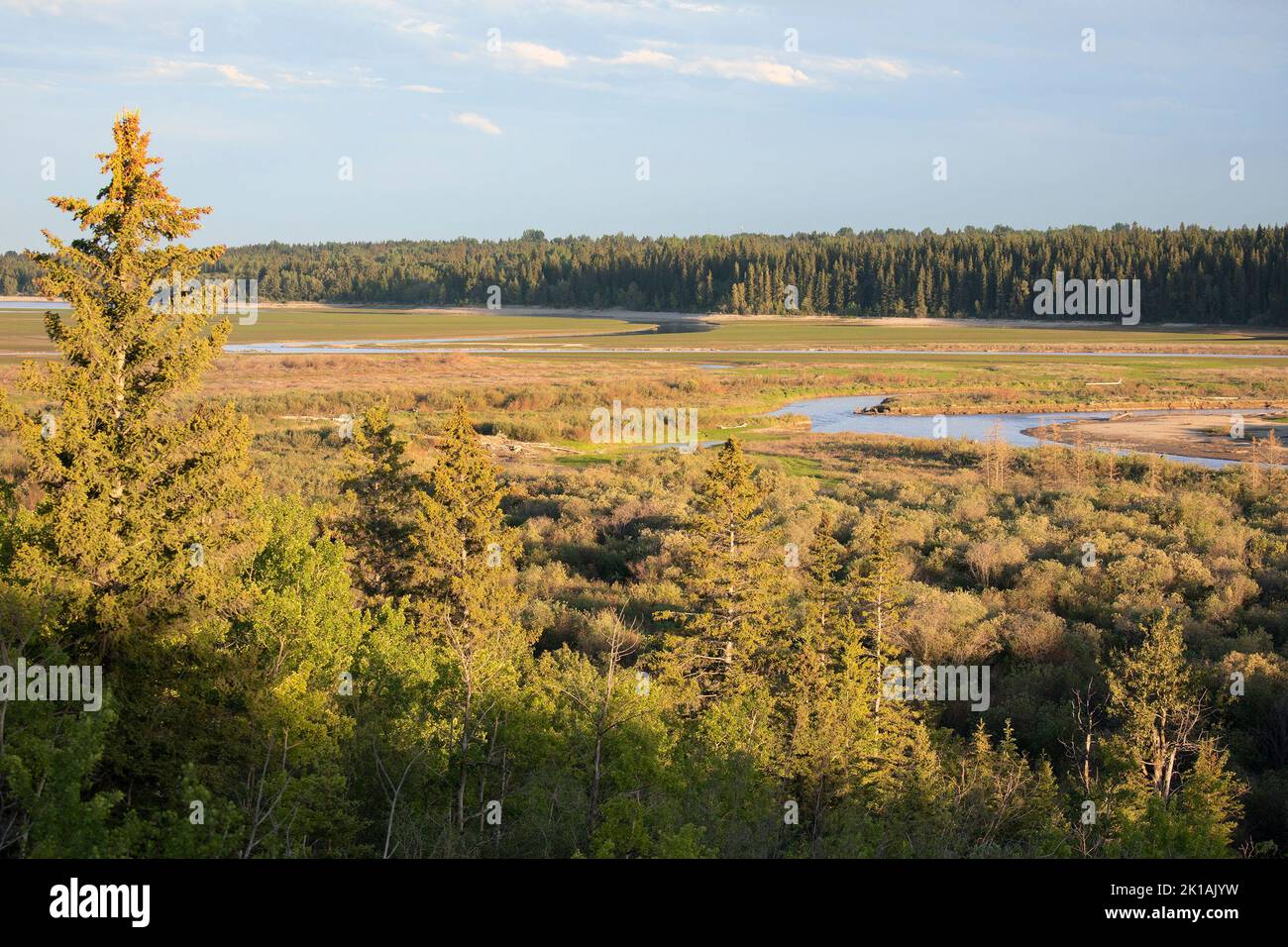 Weaselhead Flats, a nature park in Calgary, Alberta, Canada. View of delta where Elbow River flows into Glenmore Reservoir, and White Spruce forest Stock Photo