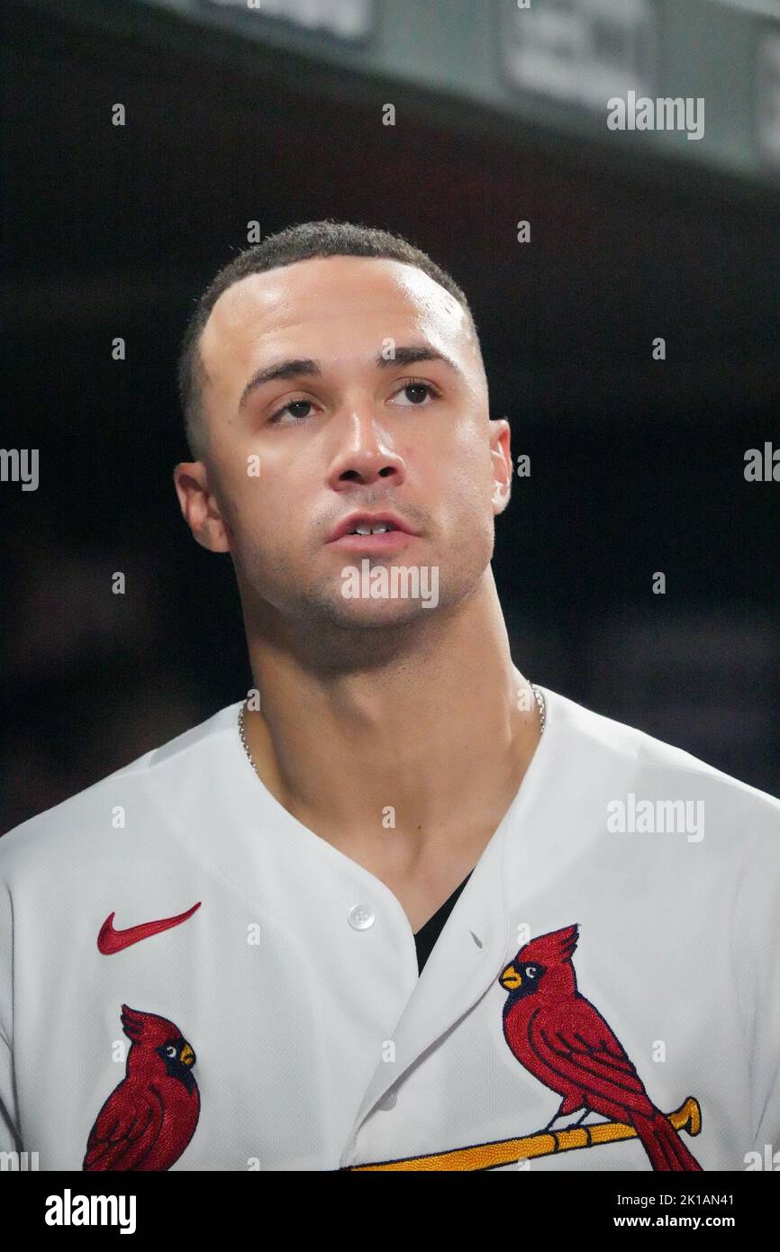 Jack Flaherty St. Louis Cardinals Poster Print, Real Player, Baseball  Player, ArtWork, Canvas Art, Jack Flaherty Decor, Posters for Wall SIZE