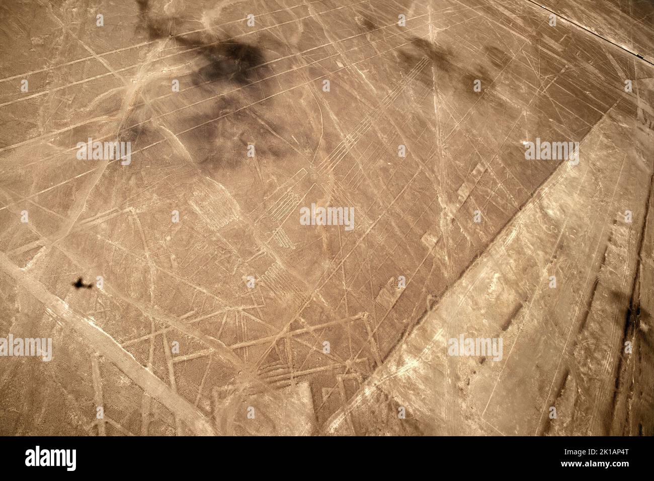 Unesco Heritage: Lines and Geoglyphs of Nazca, Peru - Sea bird Stock Photo