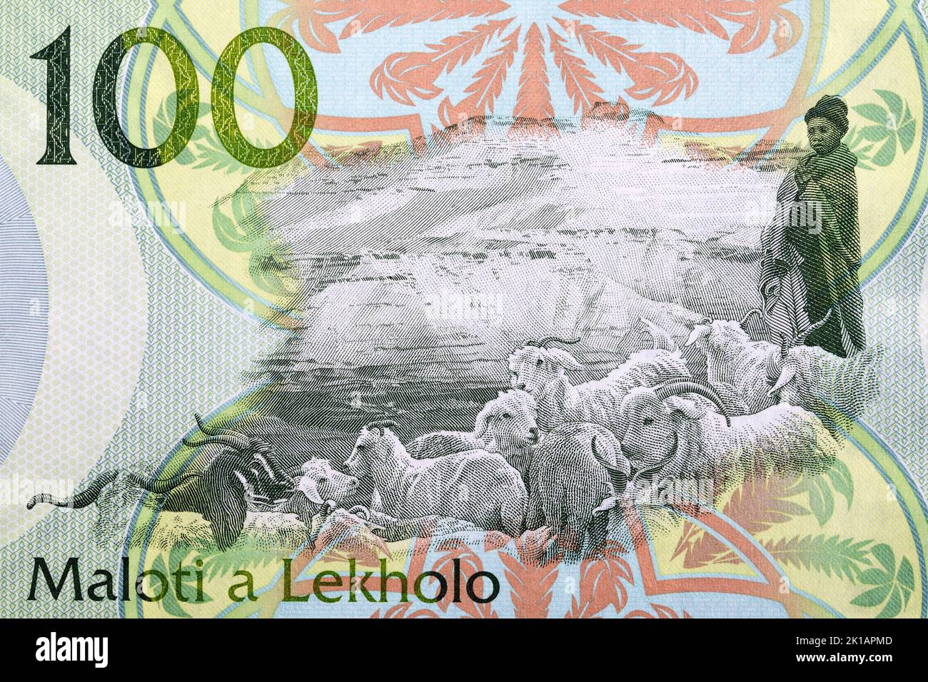 Goats from banknotes of Lesotho - Maloti Stock Photo