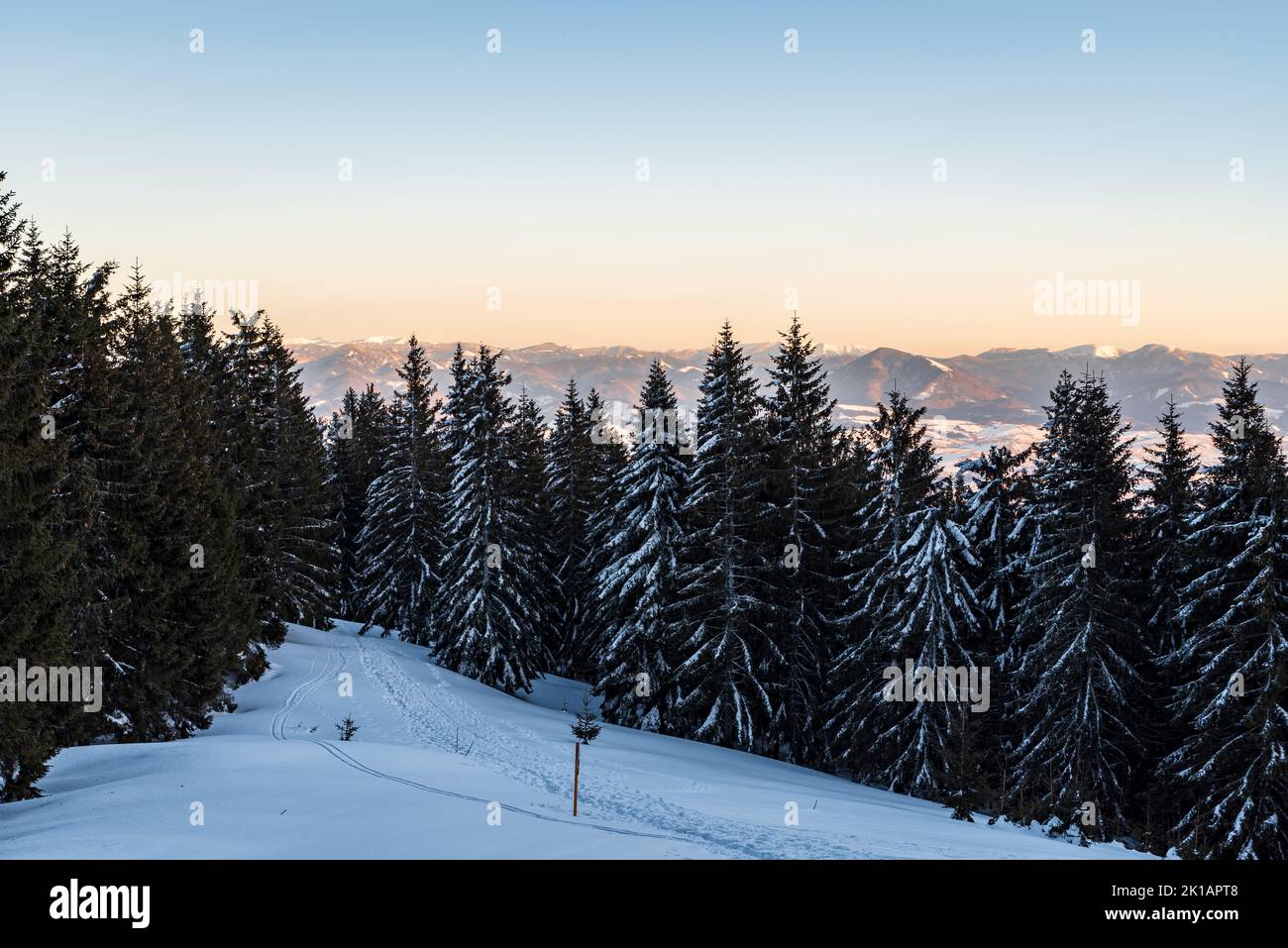 Snow covered meadow with hiking trail and trees around with Velka Fatra mountains on the background from hiking trail bellow Mincol hill in Mala Fatra Stock Photo