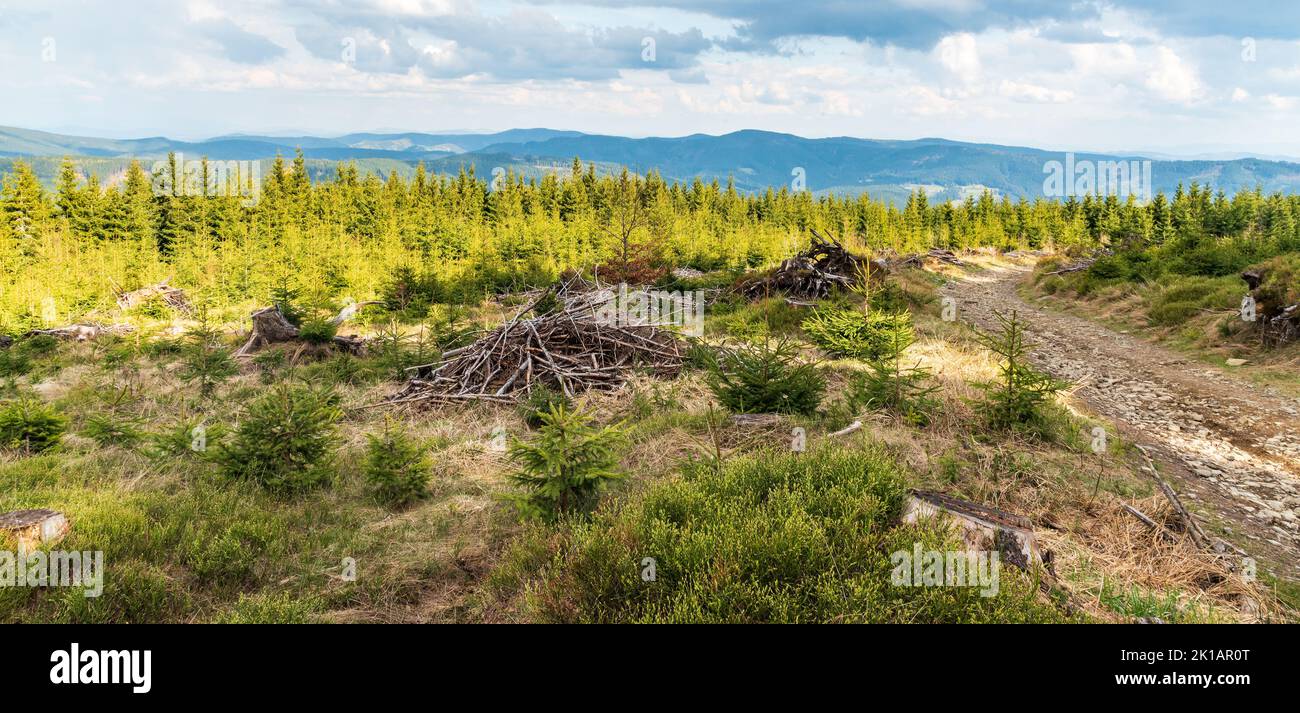 Beautiful scenery of wpringtime Moravskoslezske Beskydy mountains from trail bellow Travny hill in Czech republic Stock Photo