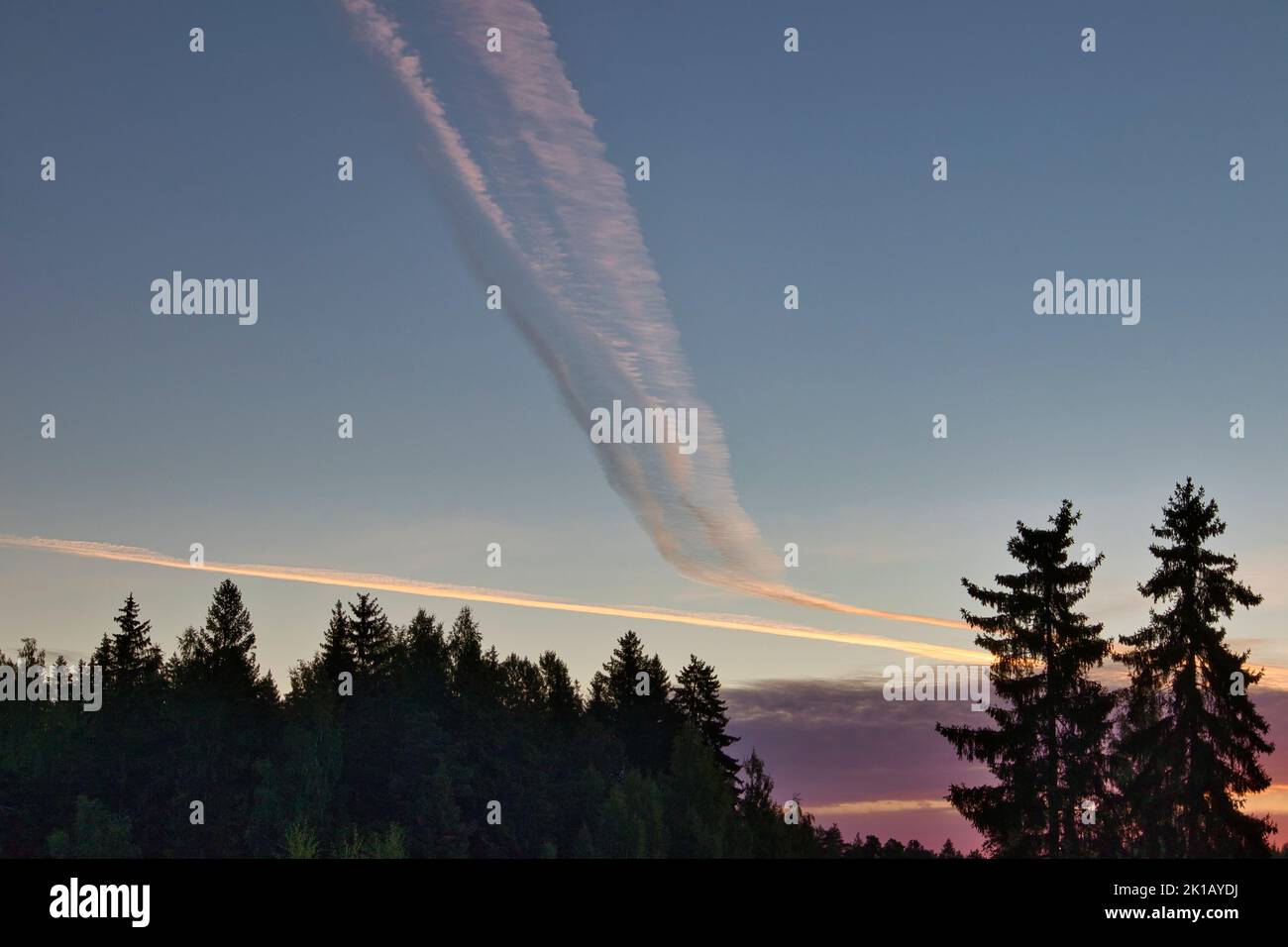 Contrails in the morning sky Stock Photo